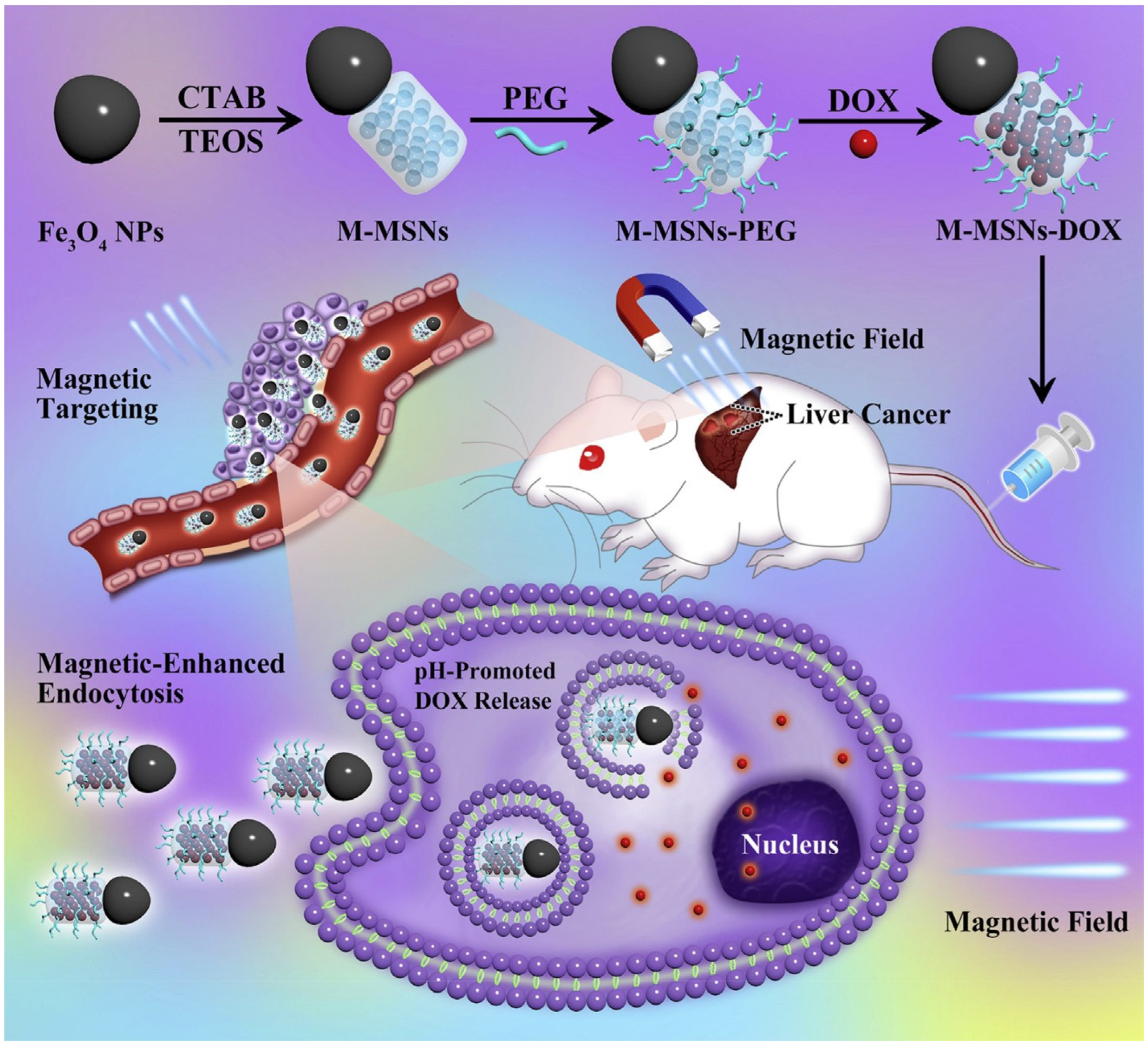Polymers 14 05249 g013
