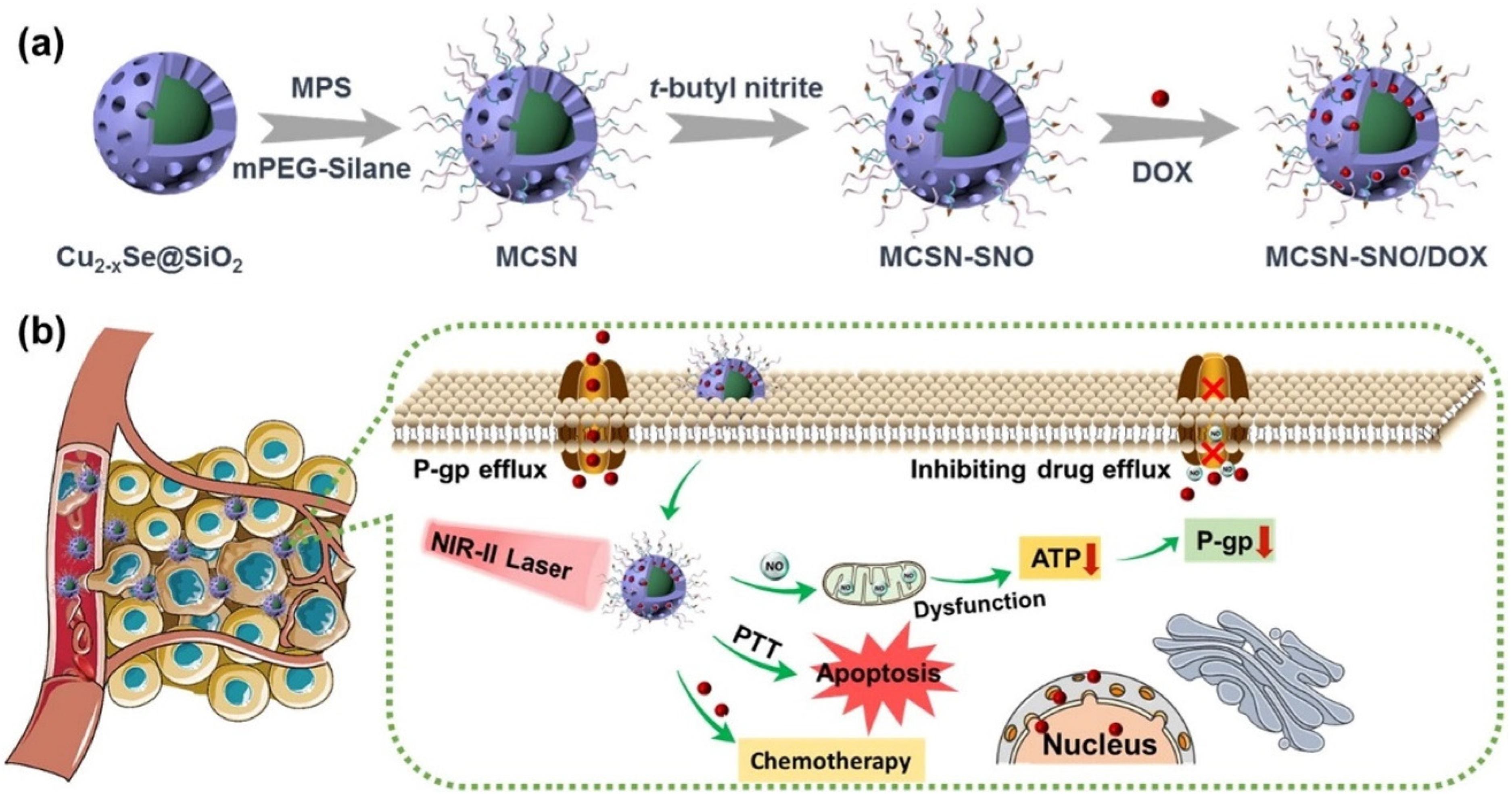 Polymers 14 05249 g014