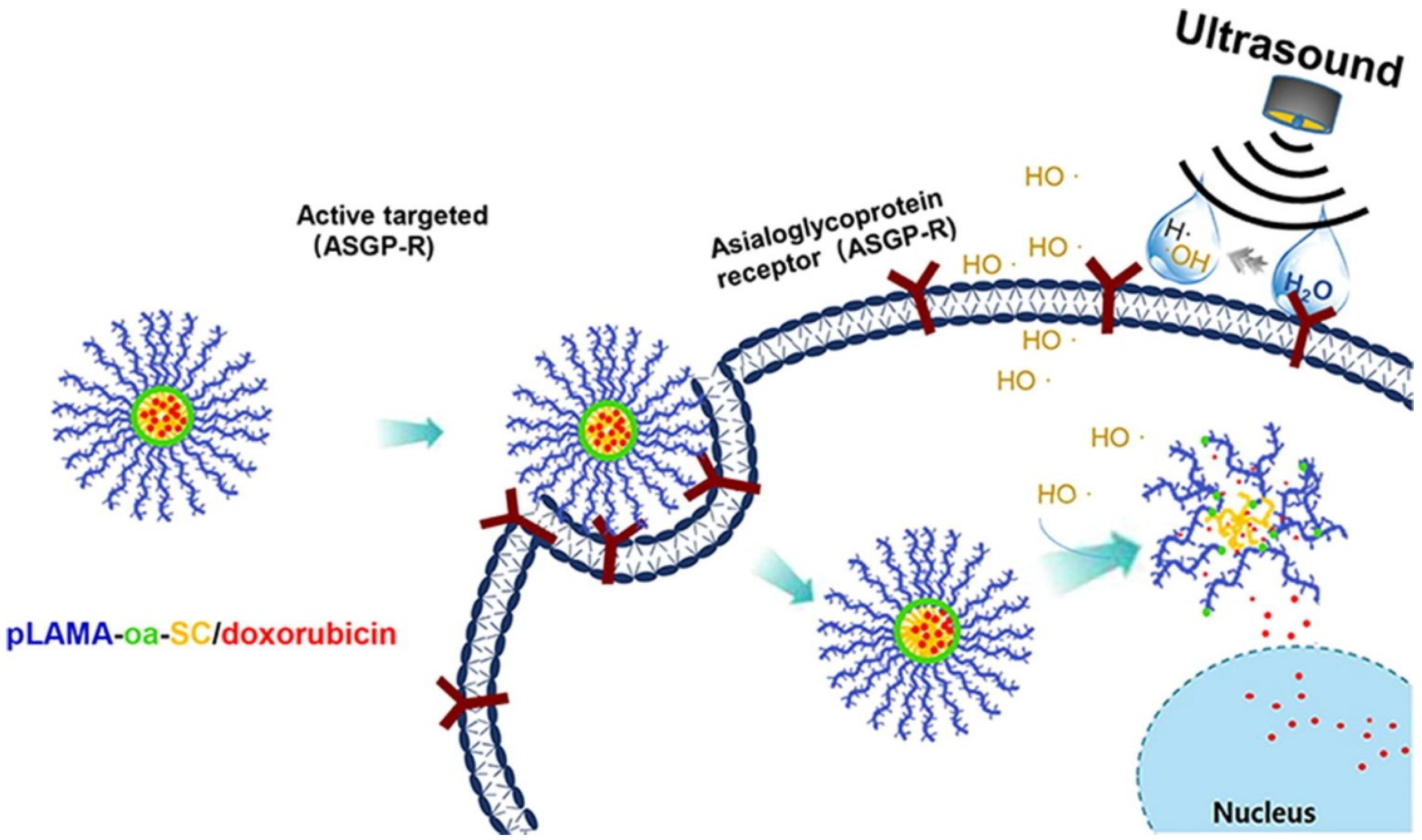 Polymers 14 05249 g015