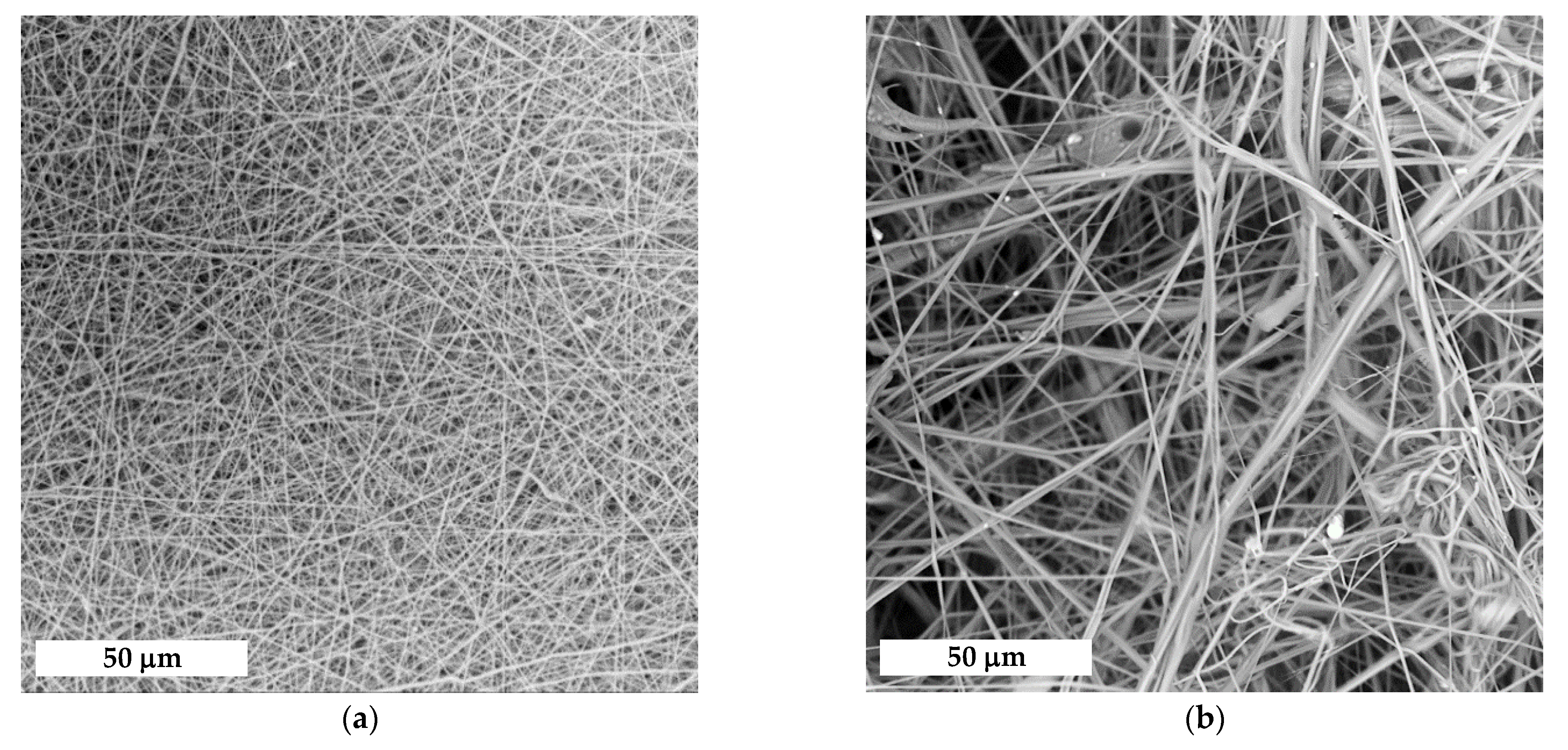 Polymers 14 05254 g001a Polymers 14 05254 g001a