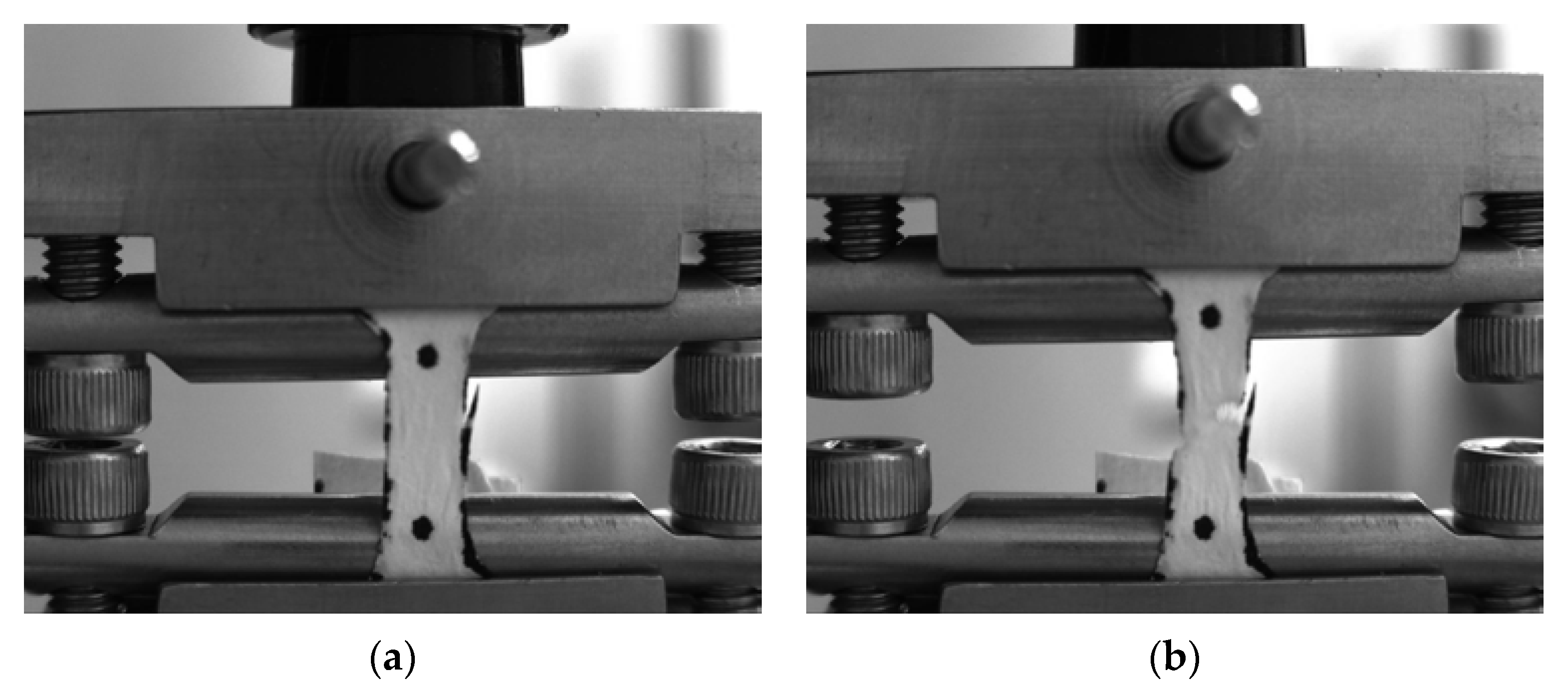 Polymers 14 05254 g003a Polymers 14 05254 g003a