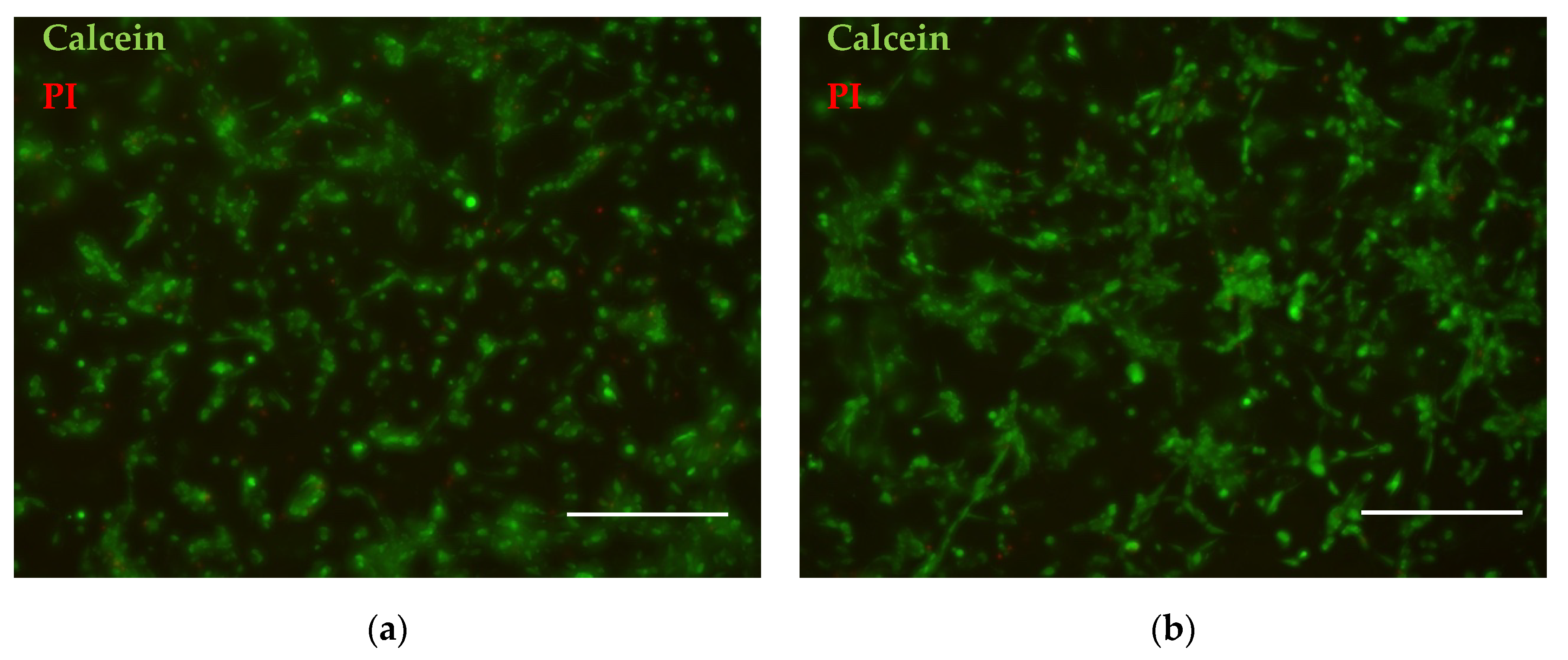 Polymers 14 05254 g006 Polymers 14 05254 g006