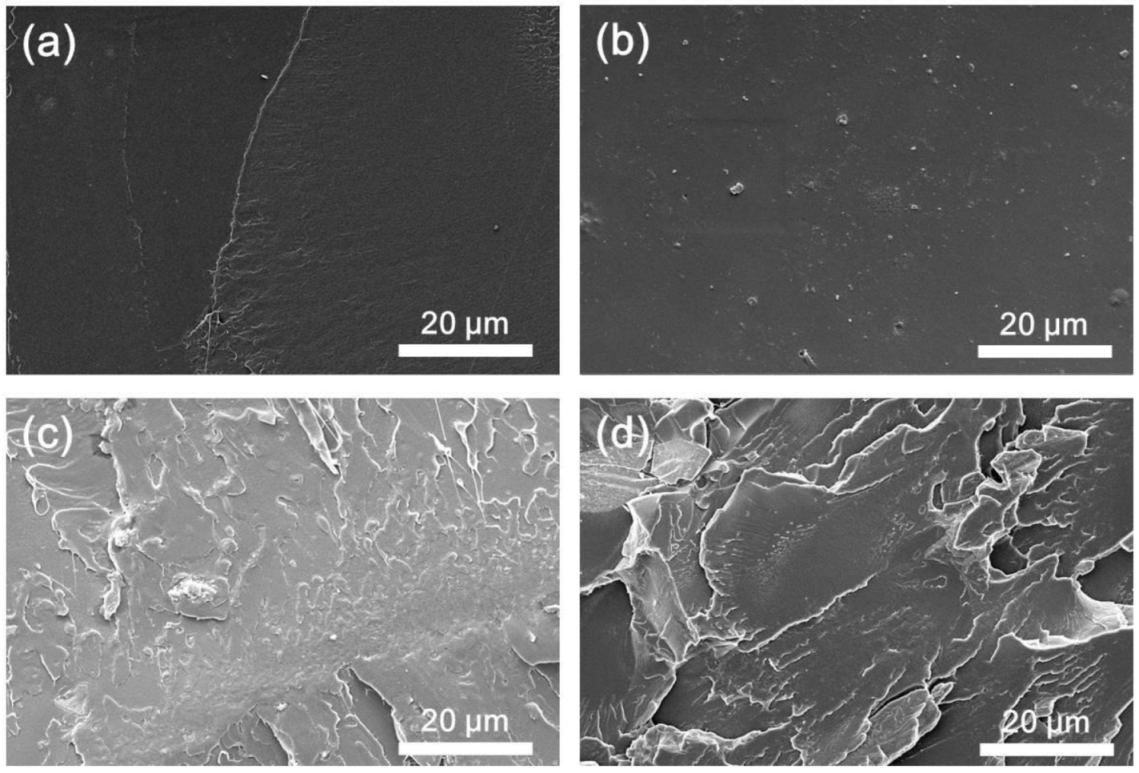Polymers 14 05255 g003 Polymers 14 05255 g003