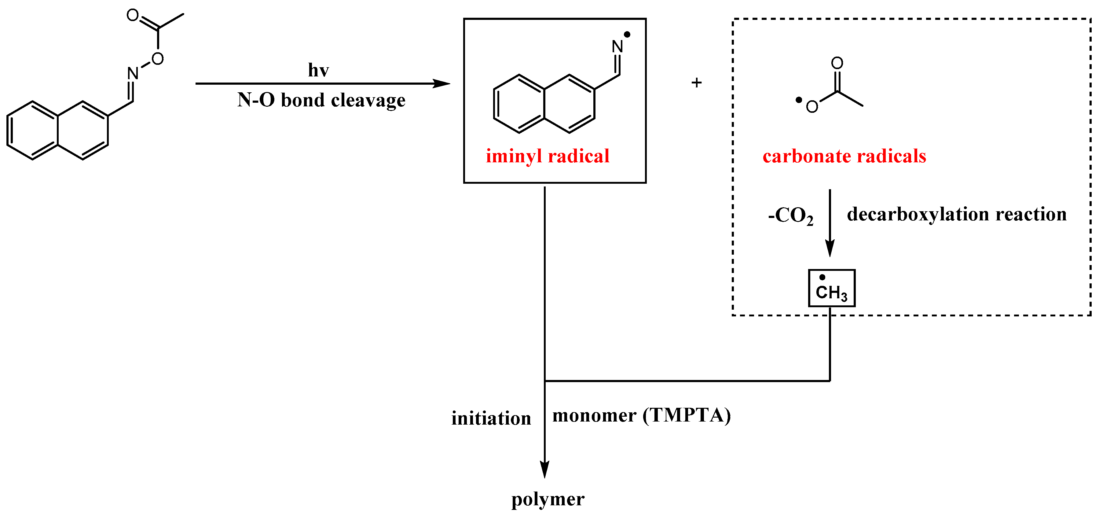 Polymers 14 05261 sch002 Polymers 14 05261 sch002