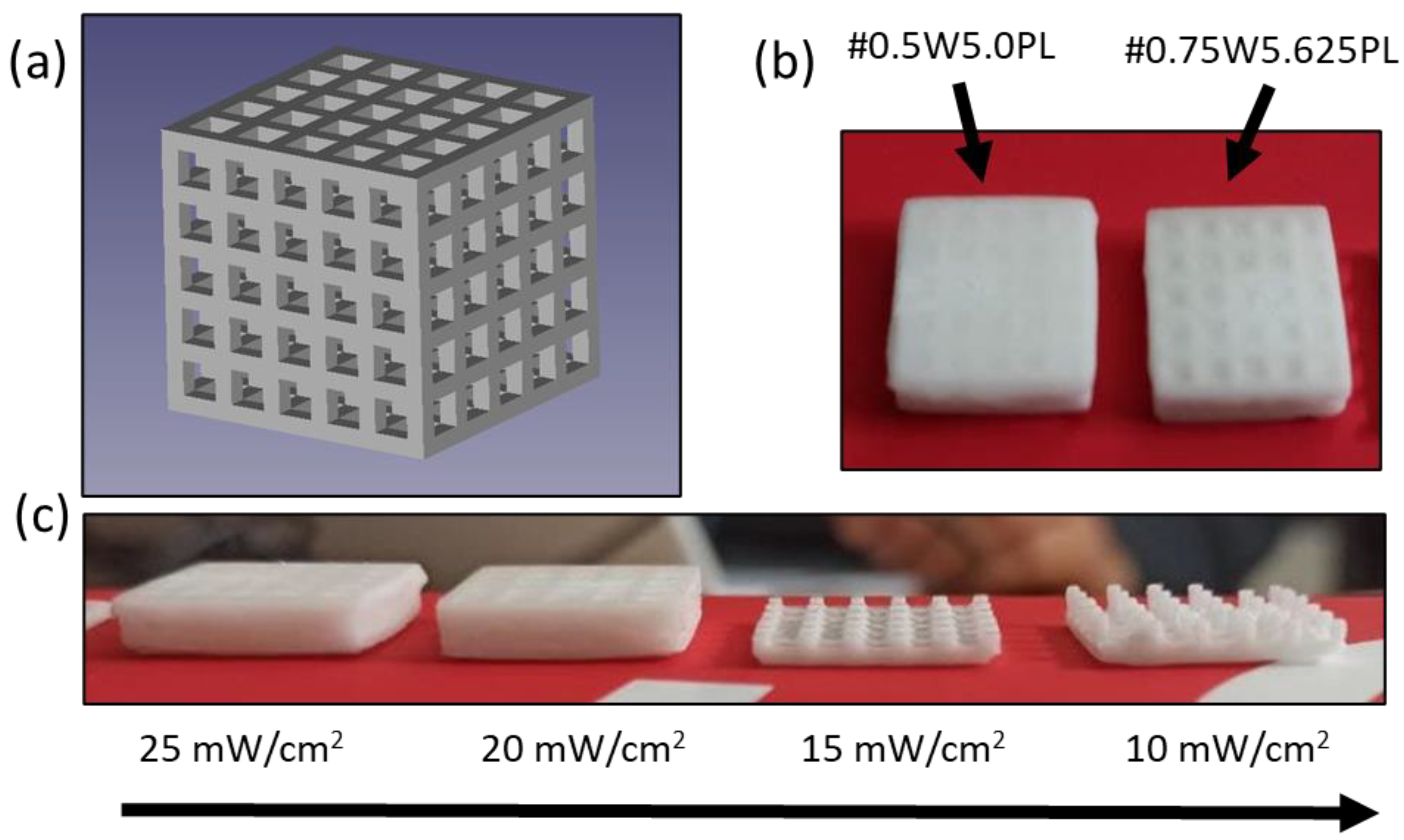 Polymers 14 05265 g002