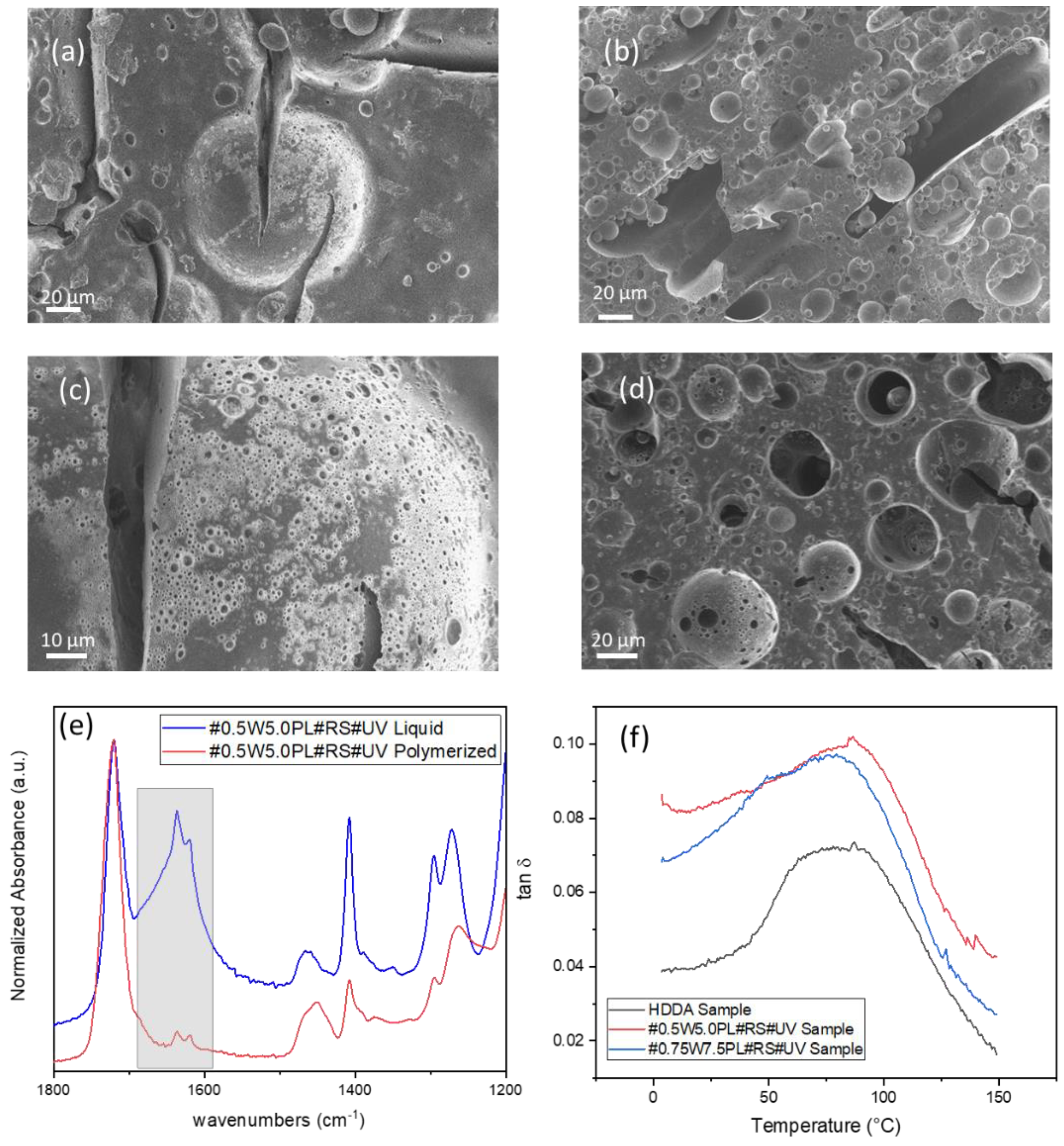 Polymers 14 05265 g004
