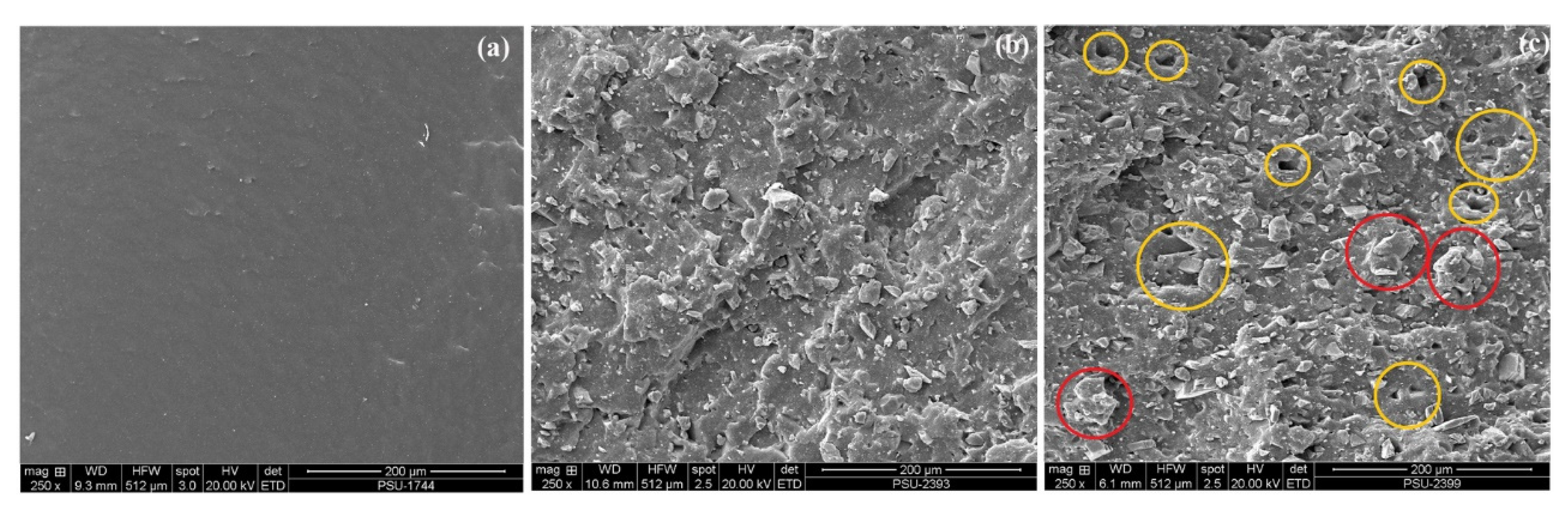 Polymers 14 05267 g004