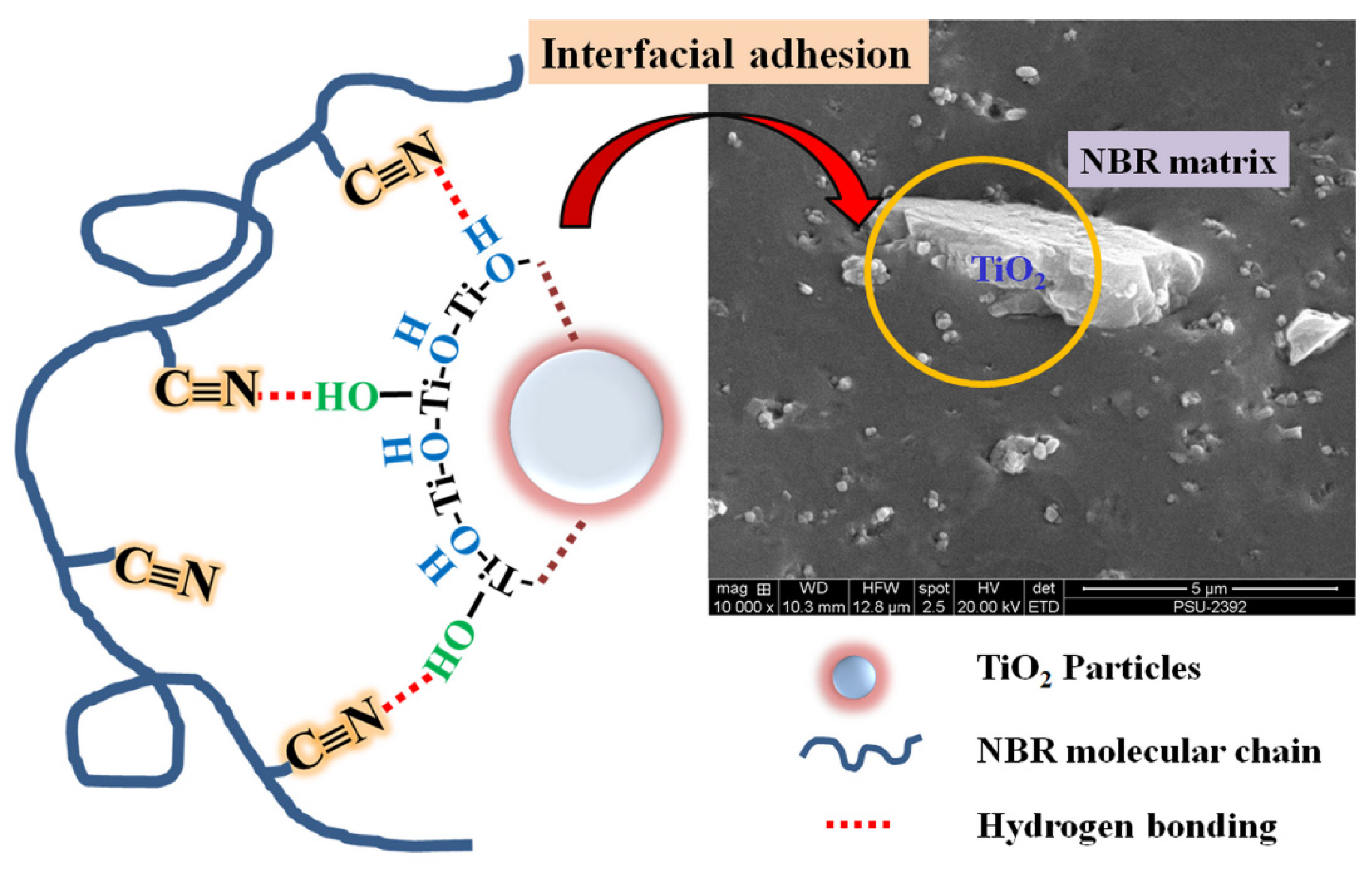 Polymers 14 05267 sch001