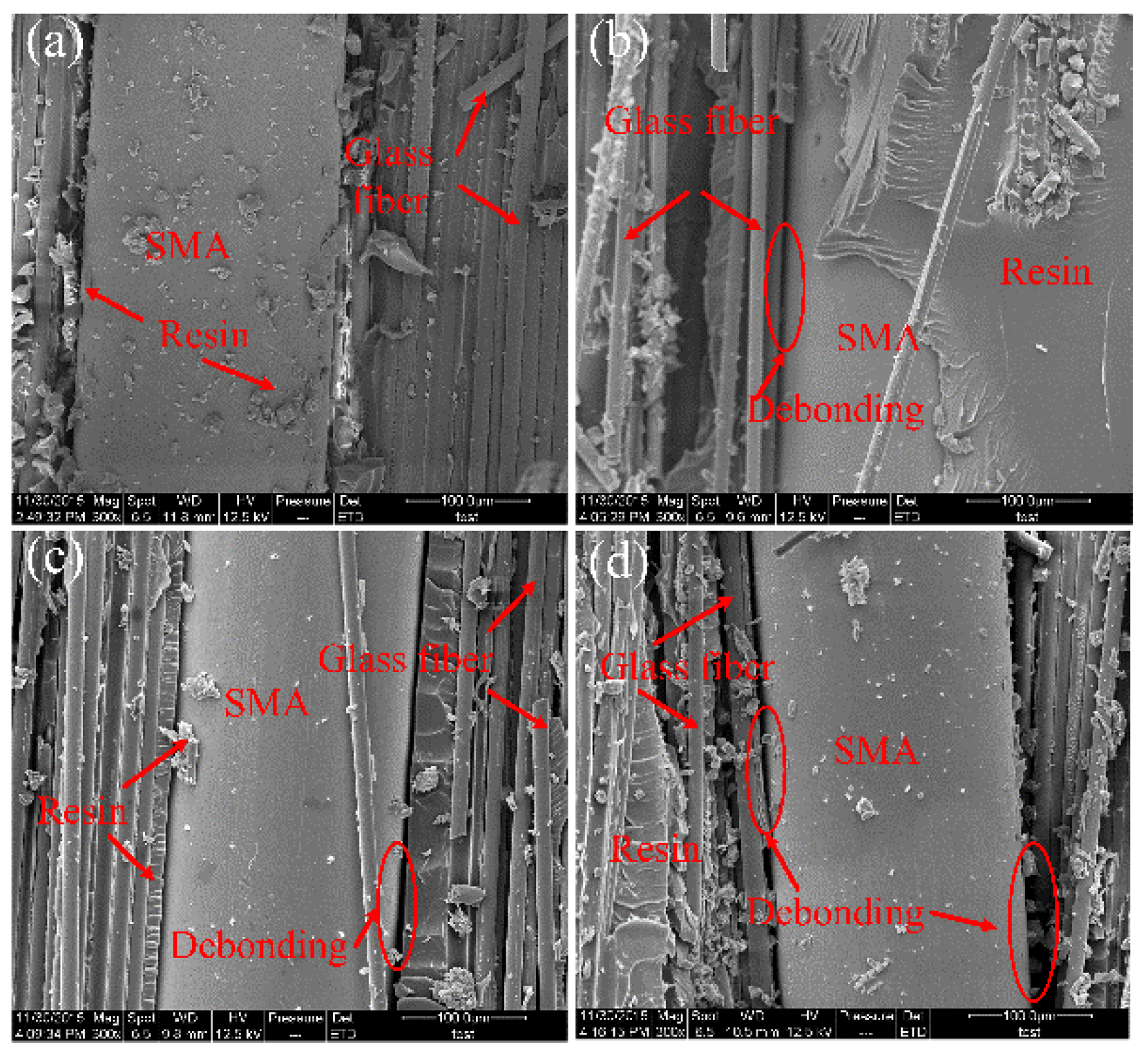 Polymers 14 05268 g008 Polymers 14 05268 g008