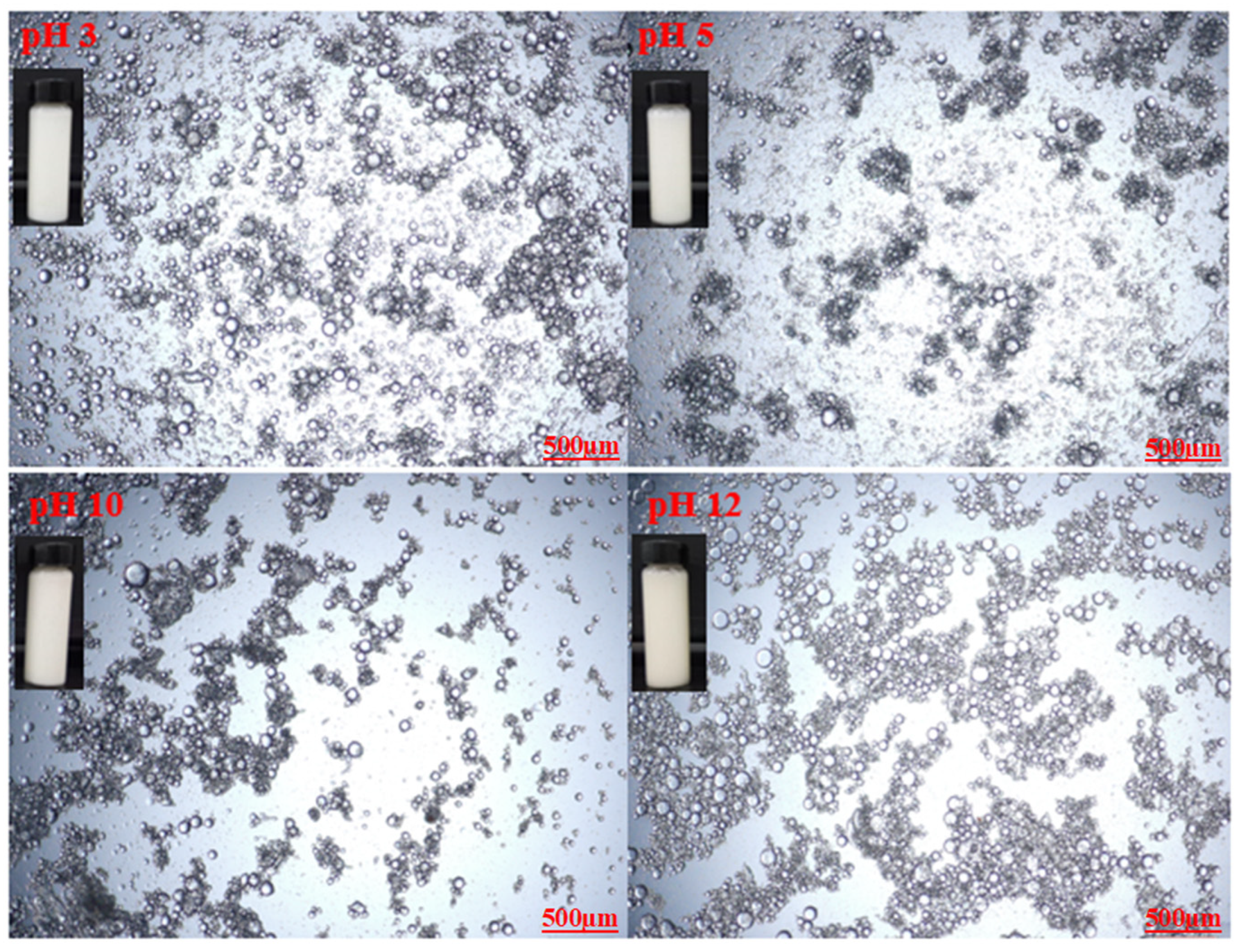 Polymers 14 05270 g005