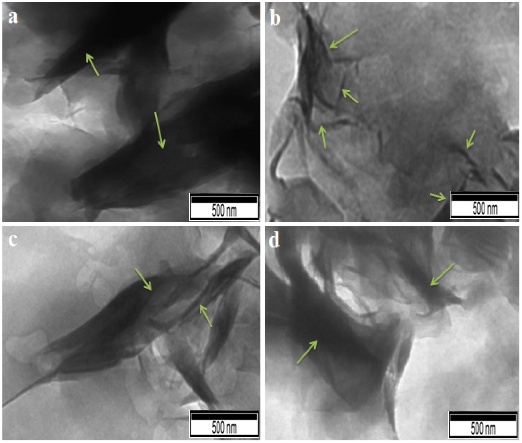 Polymers 14 05271 g010 Polymers 14 05271 g010