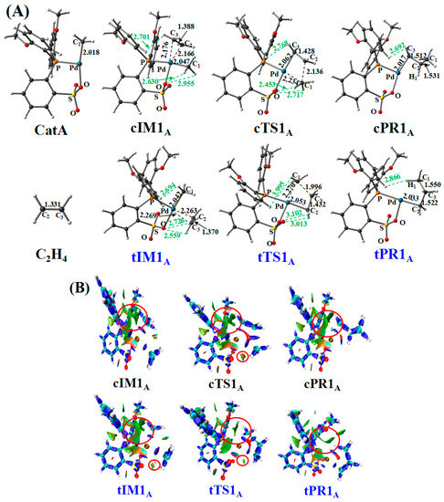 ハル Australia's Two Great Barrier Reefs: What Can ~360 Million