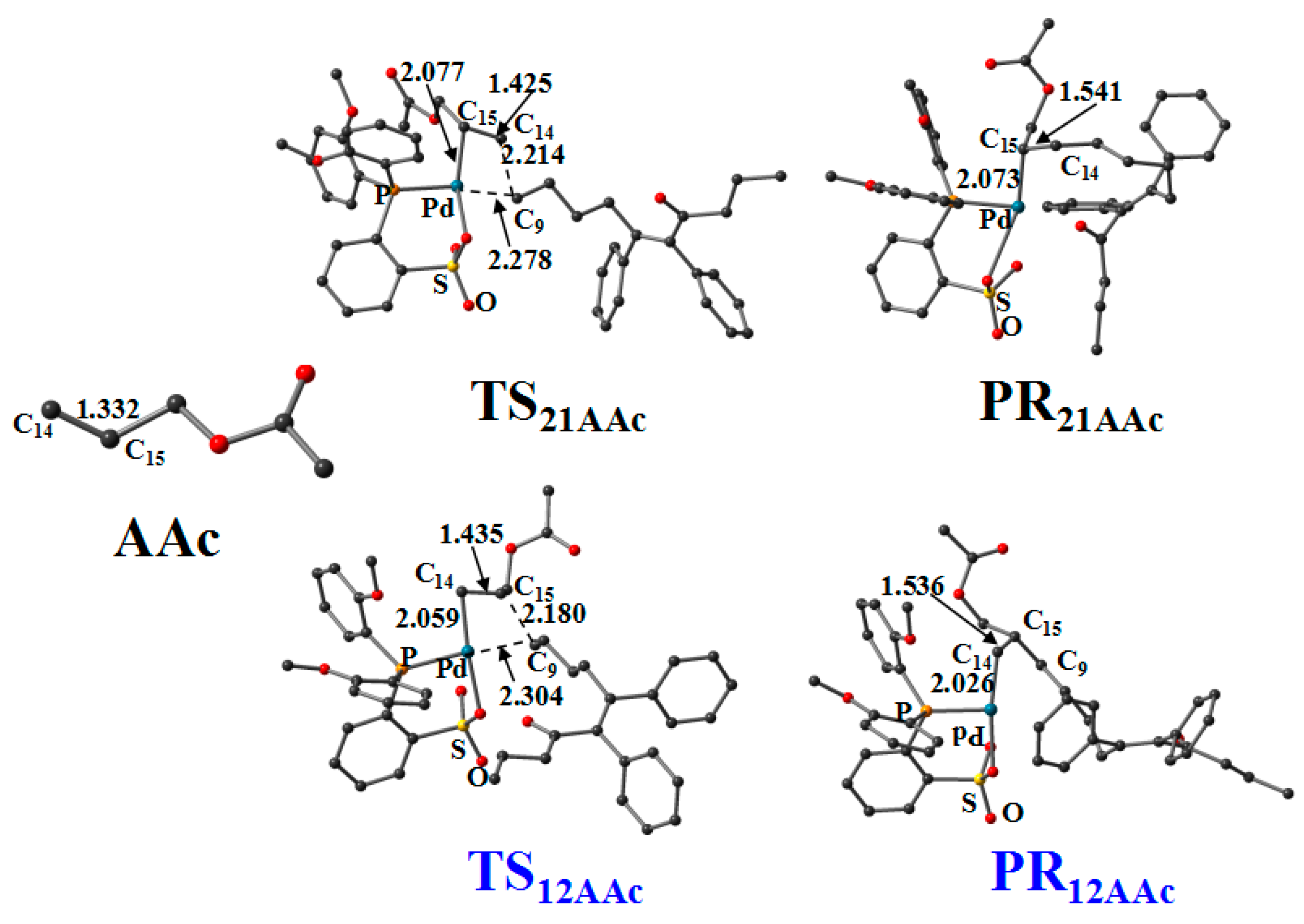 Polymers 14 05273 g012