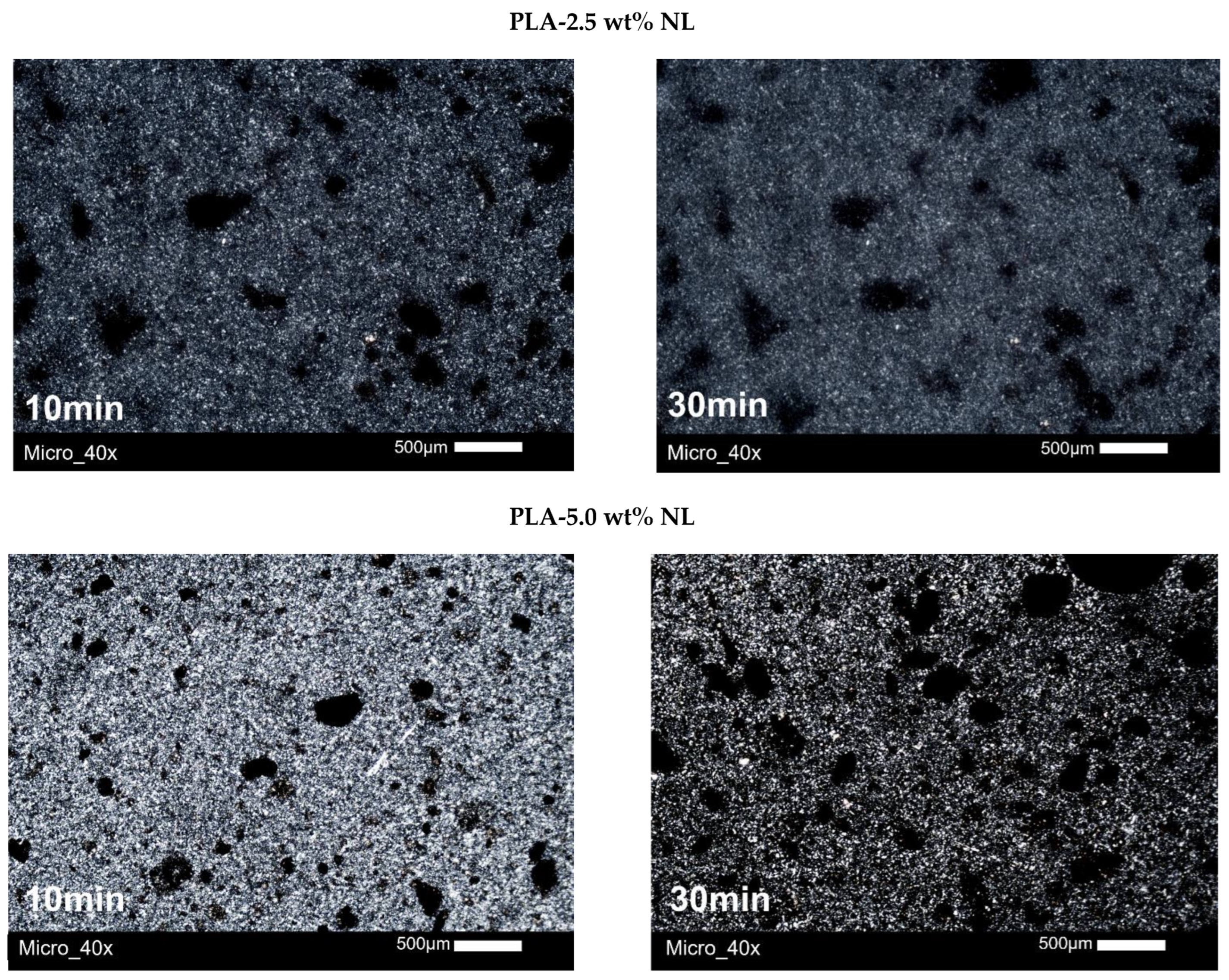 Polymers 14 05274 g010b Polymers 14 05274 g010b