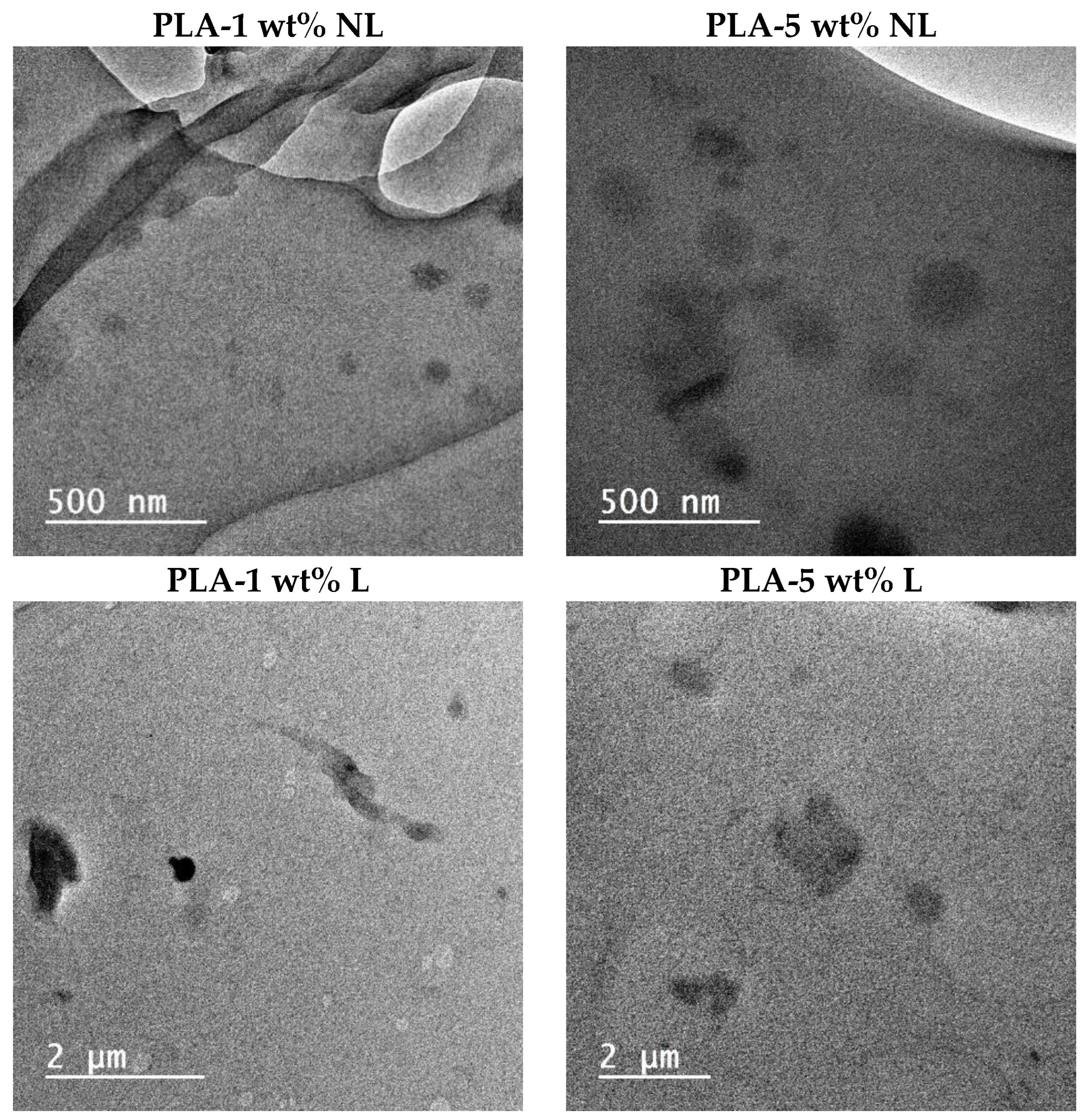 Polymers 14 05274 g011 Polymers 14 05274 g011