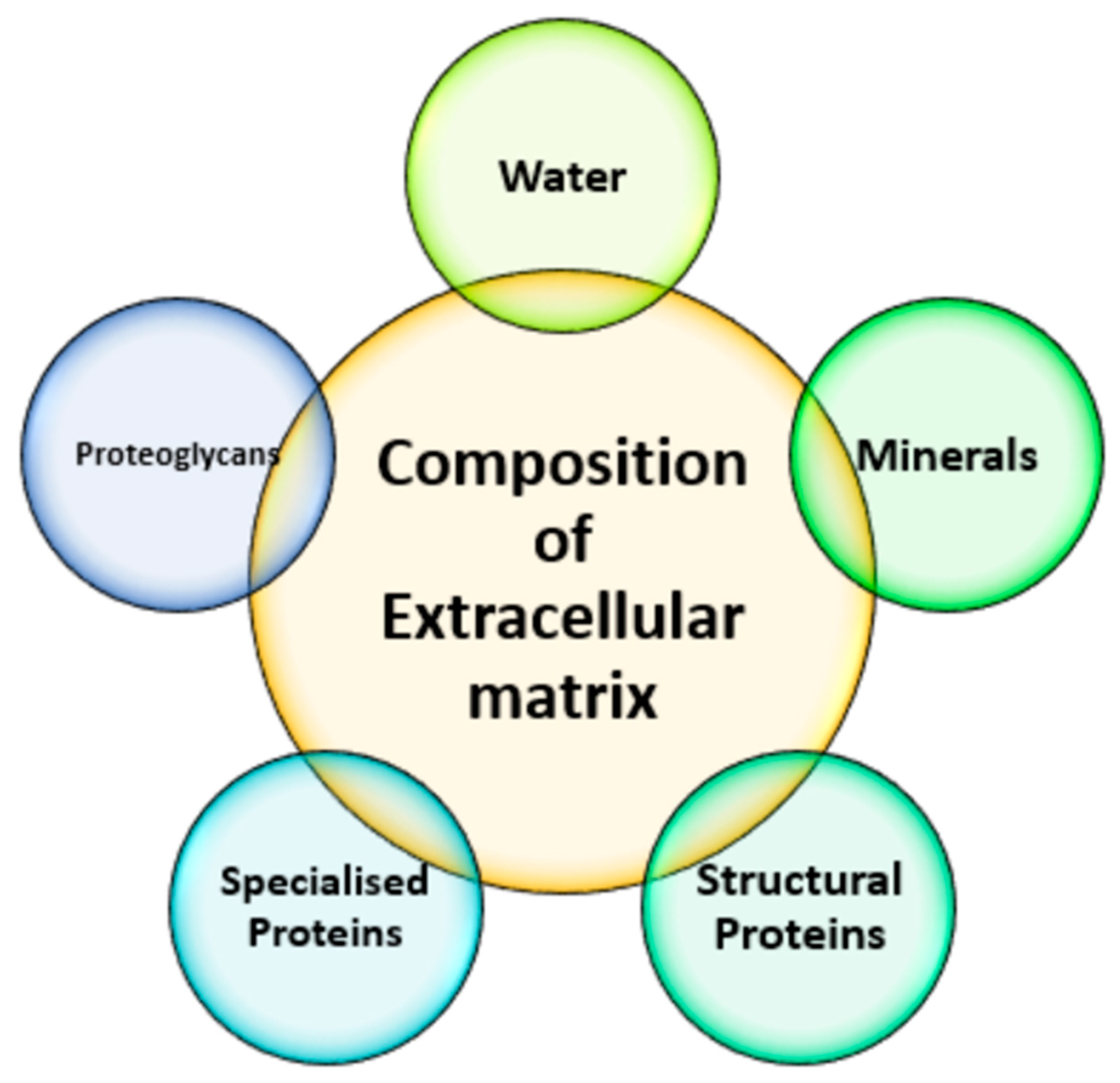 Polymers 14 05278 g002 Polymers 14 05278 g002