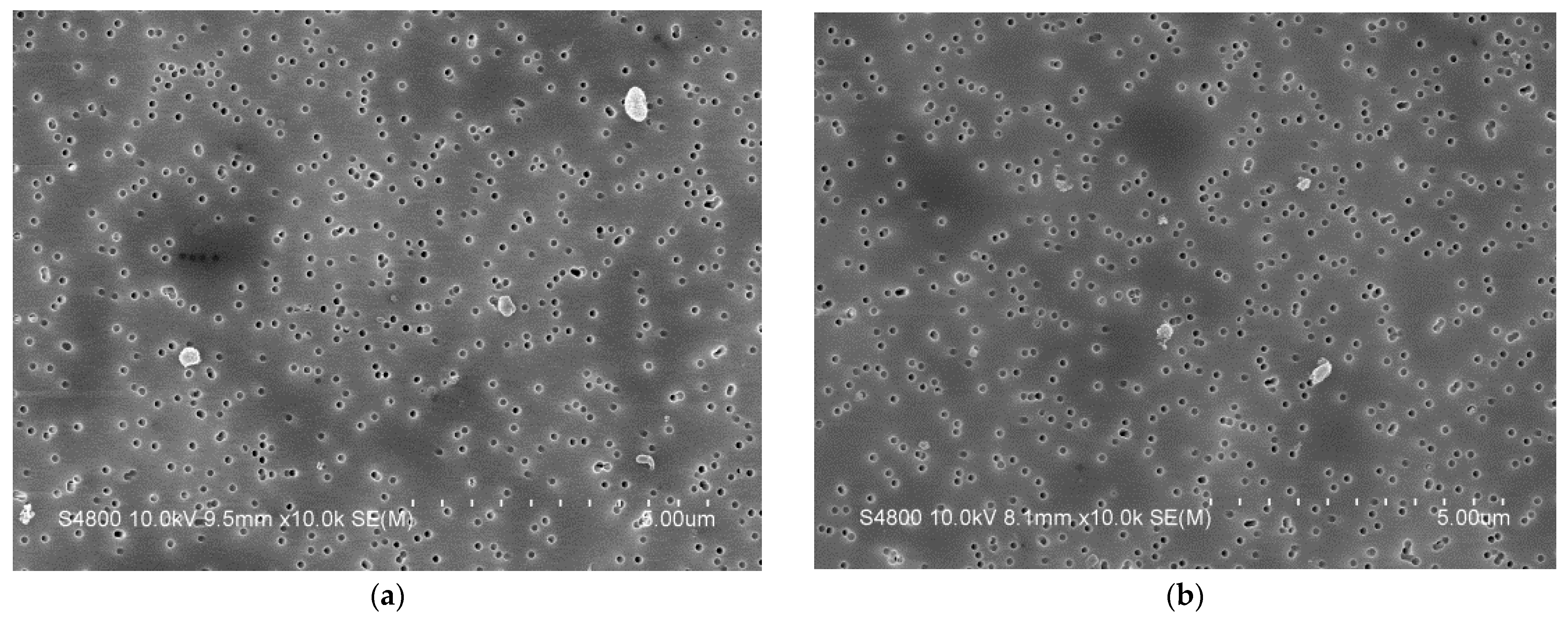 Polymers 14 05281 g003 Polymers 14 05281 g003