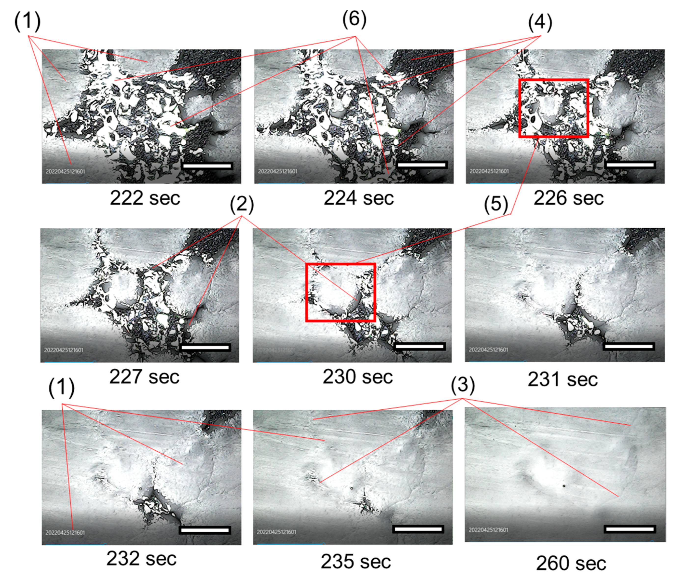 Polymers 14 05283 g004