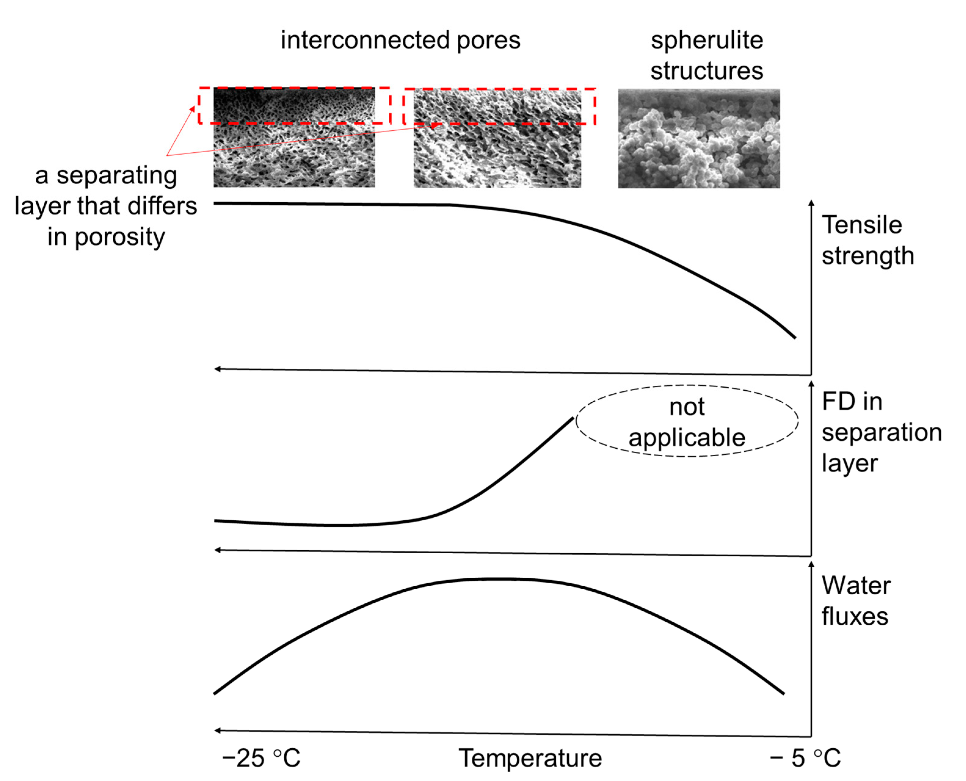 Polymers 14 05283 g008