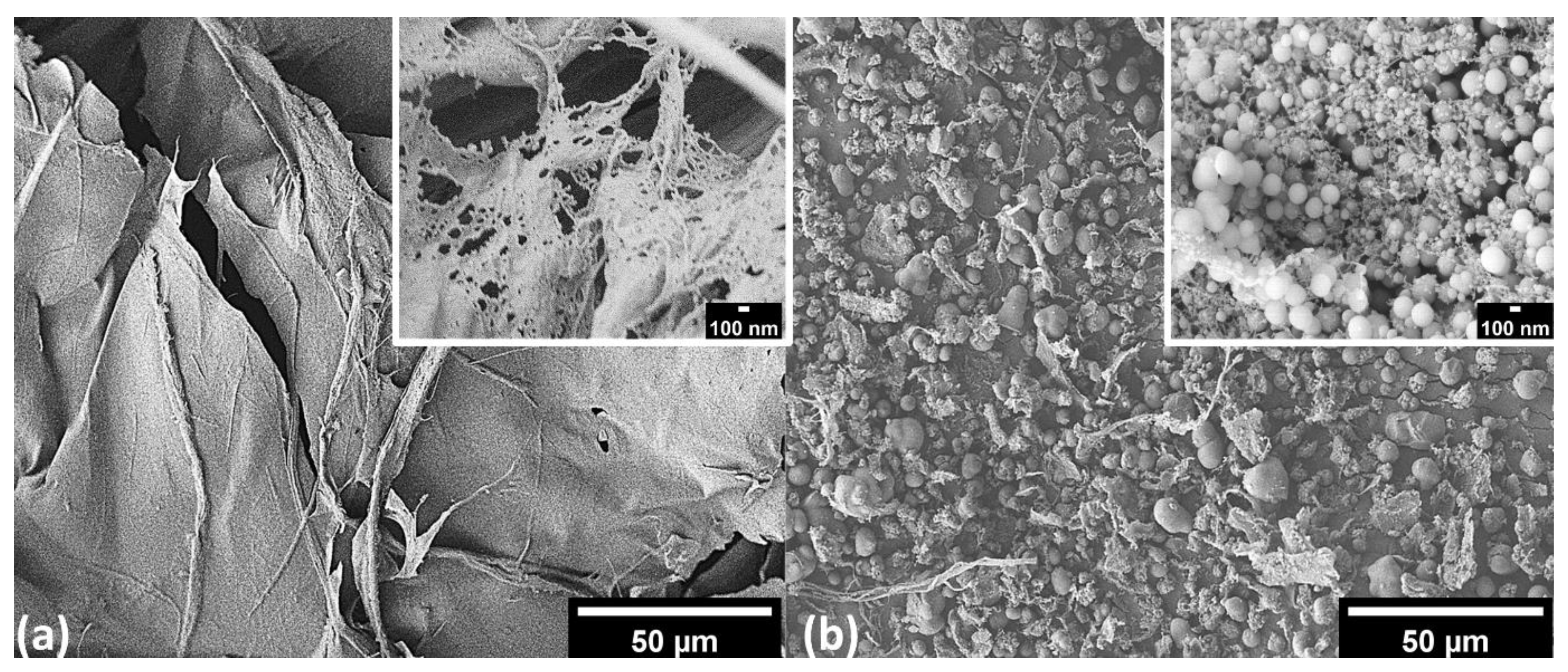 Polymers 14 05284 g006