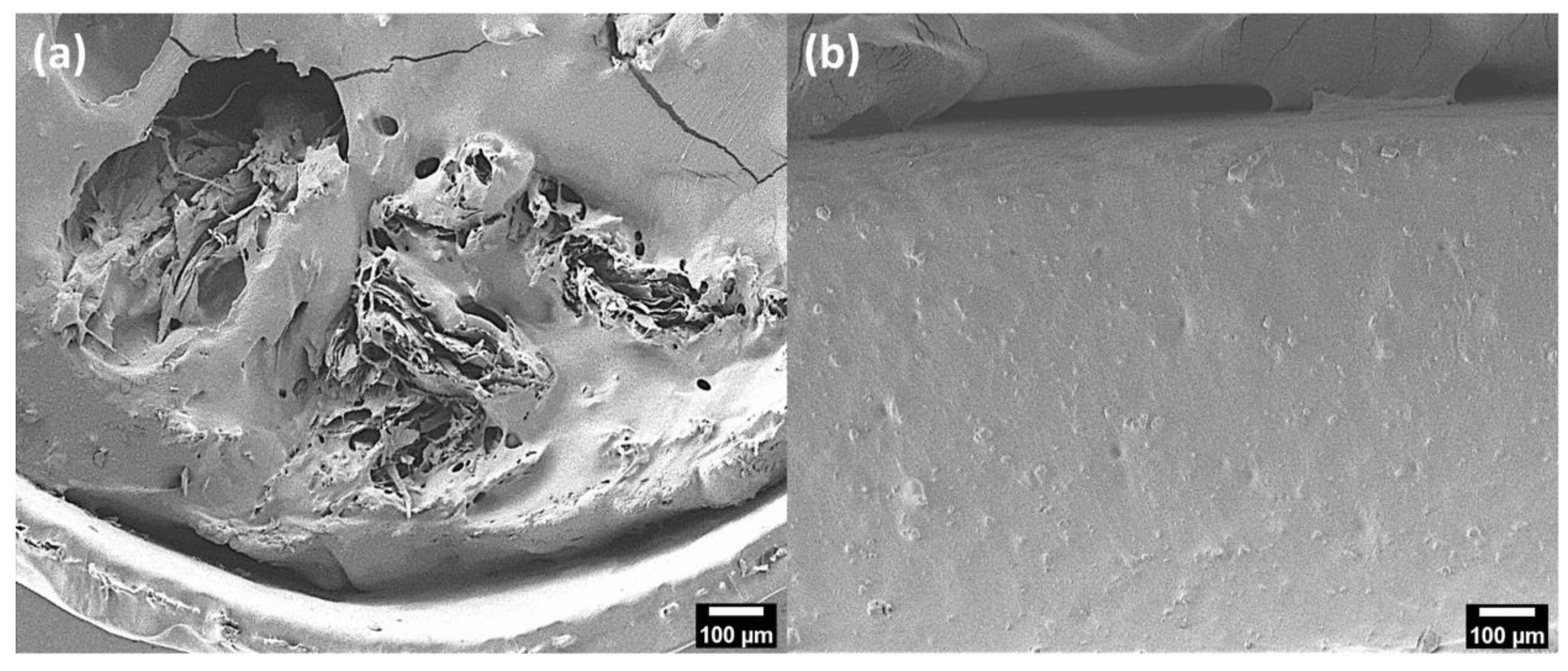 Polymers 14 05284 g007