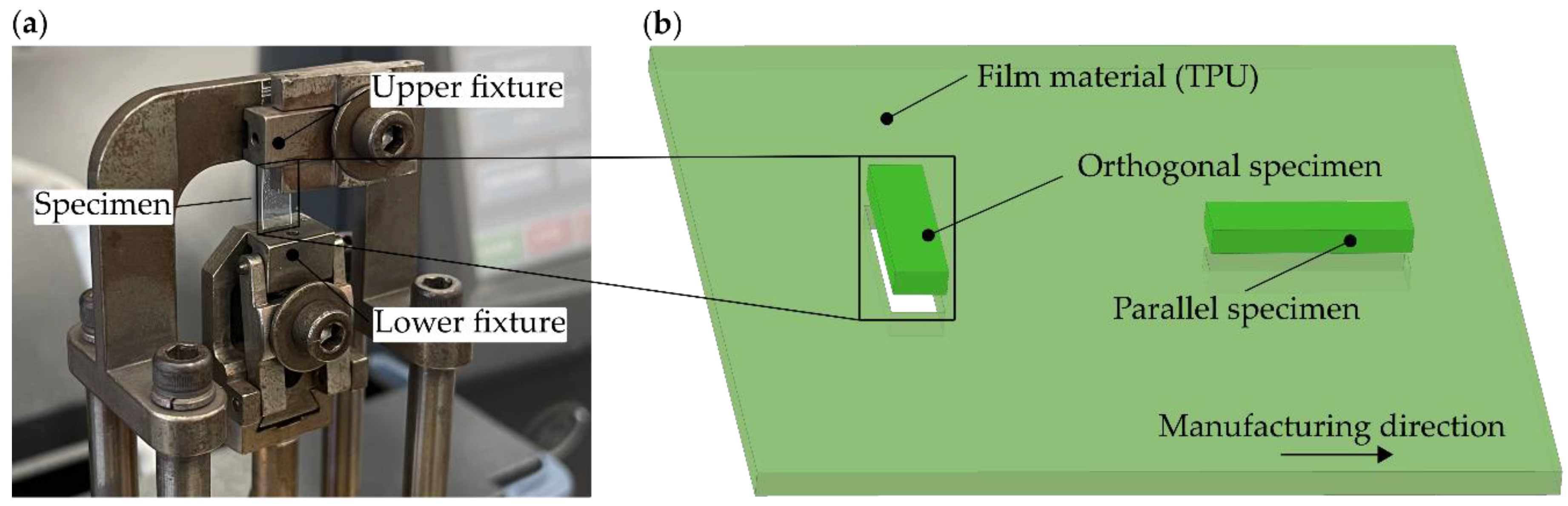 DMA of TPU Films and the Modelling of Their Viscoelastic Properties for ...