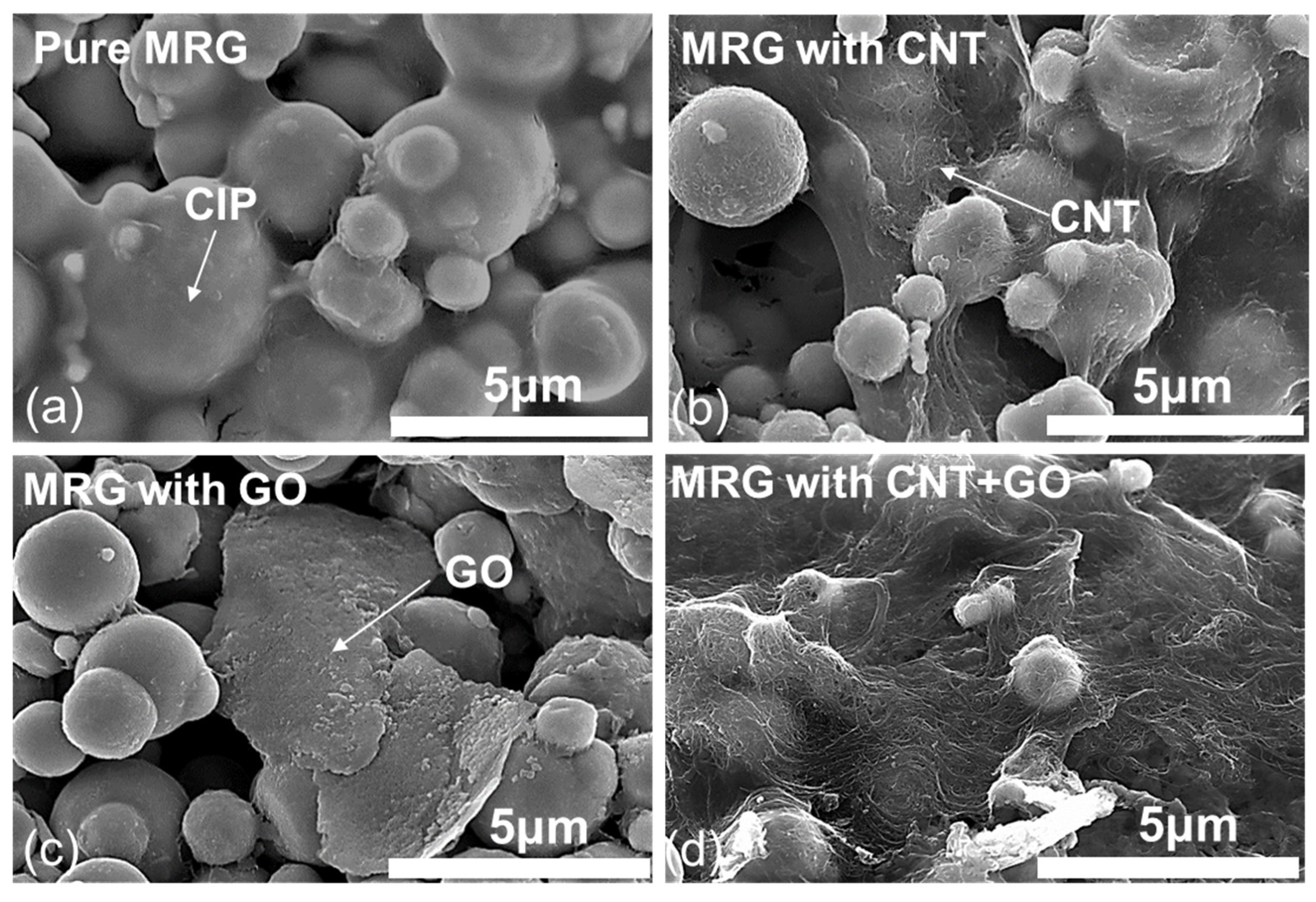 Polymers 14 05286 g002 Polymers 14 05286 g002