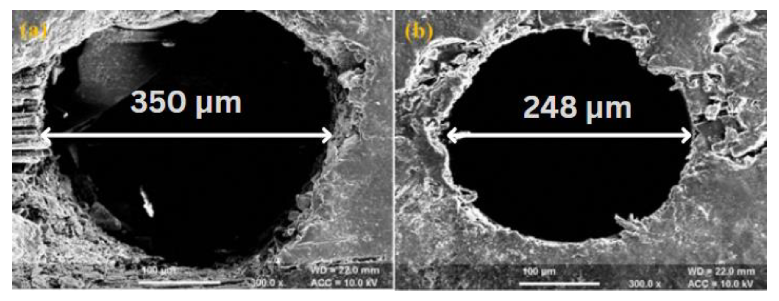 Polymers 14 05291 g005