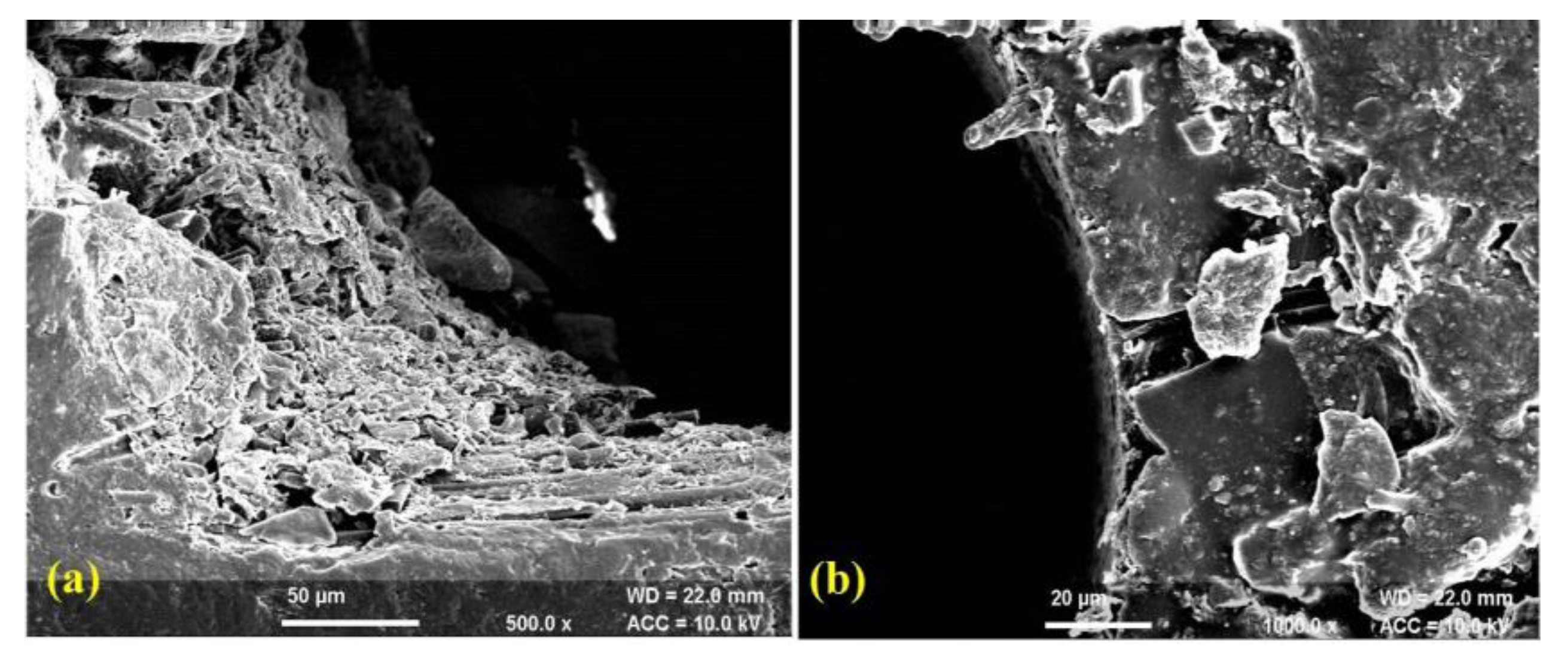 Polymers 14 05291 g006