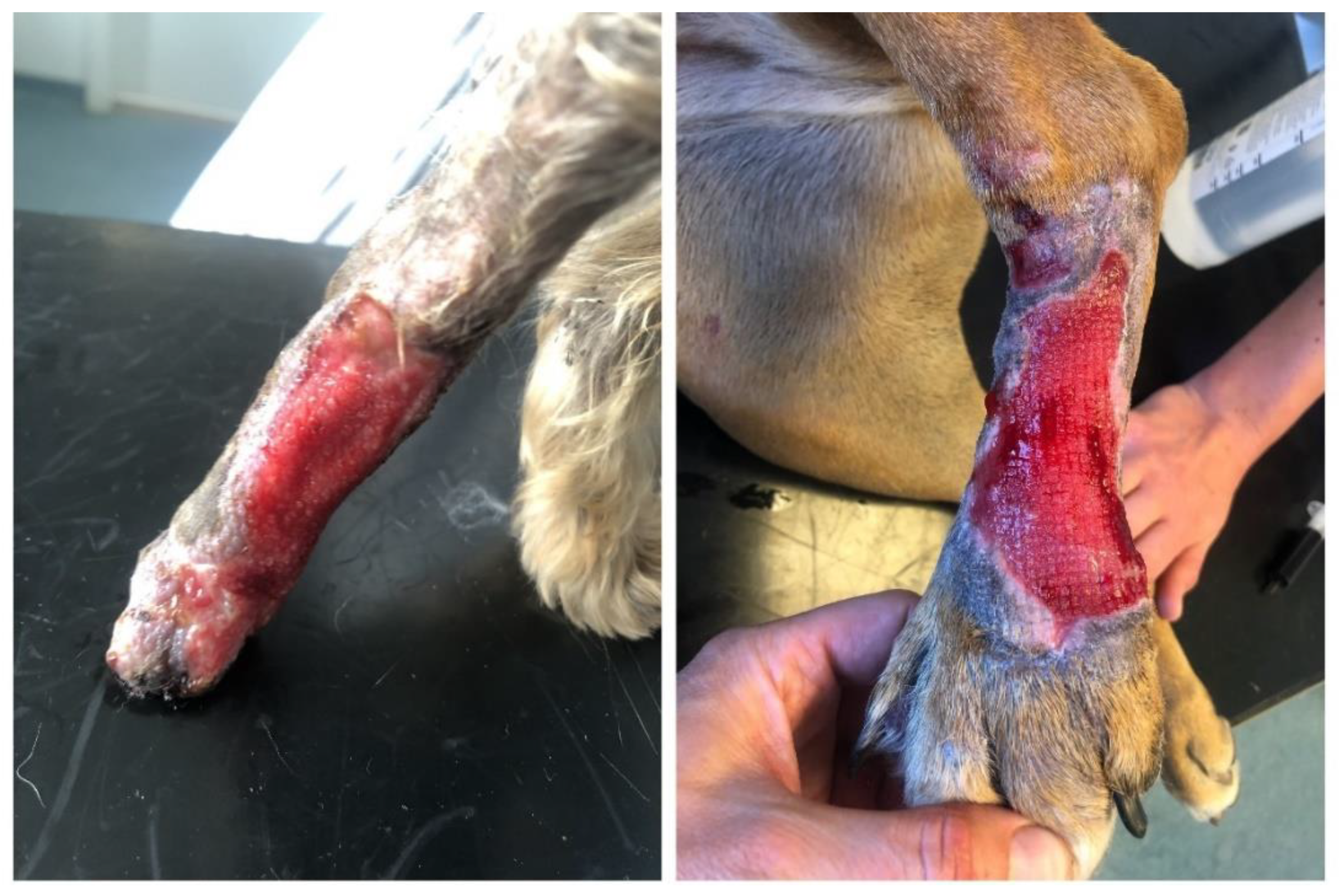 Polymers 14 05293 g002