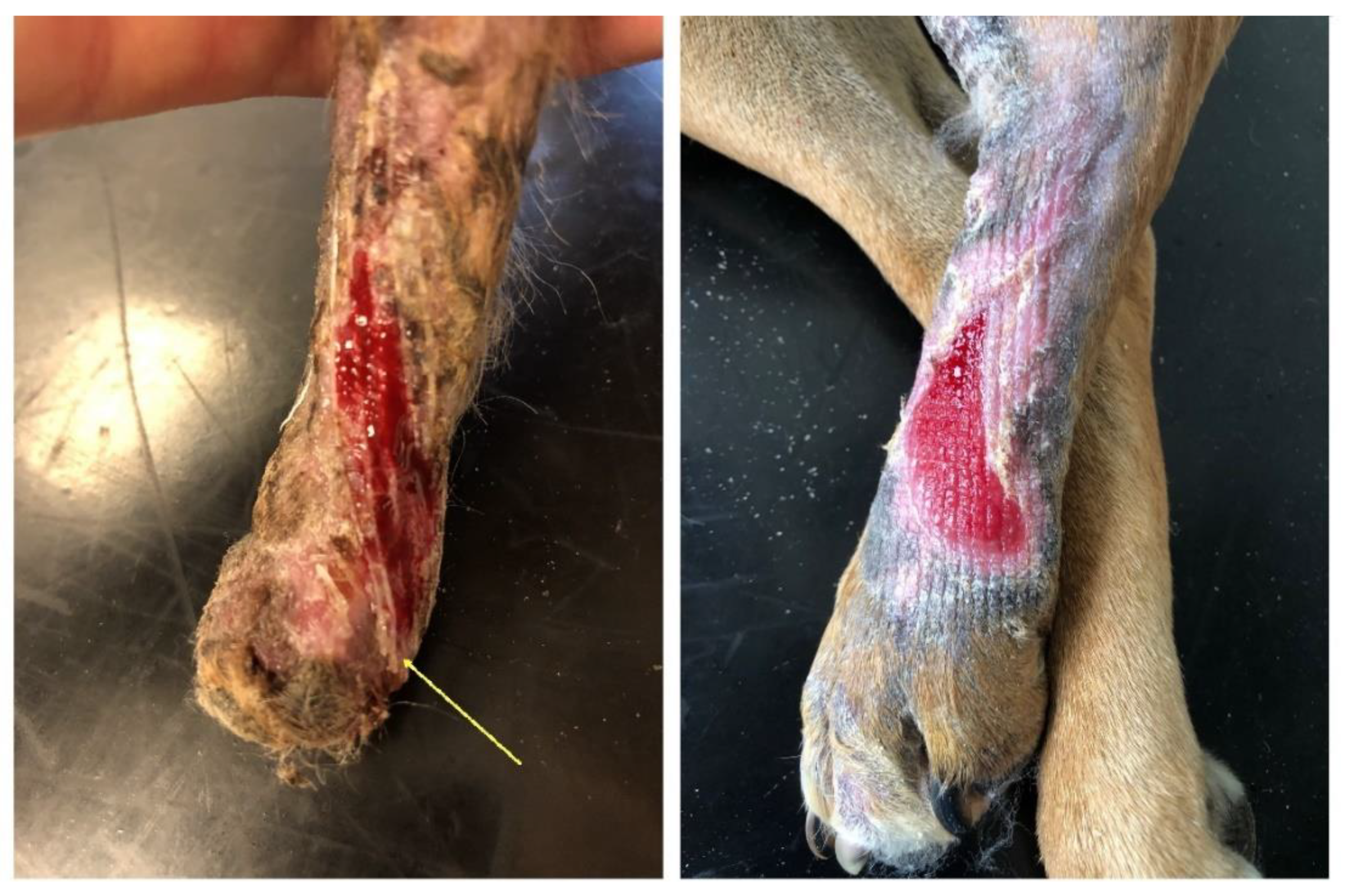 Polymers 14 05293 g003