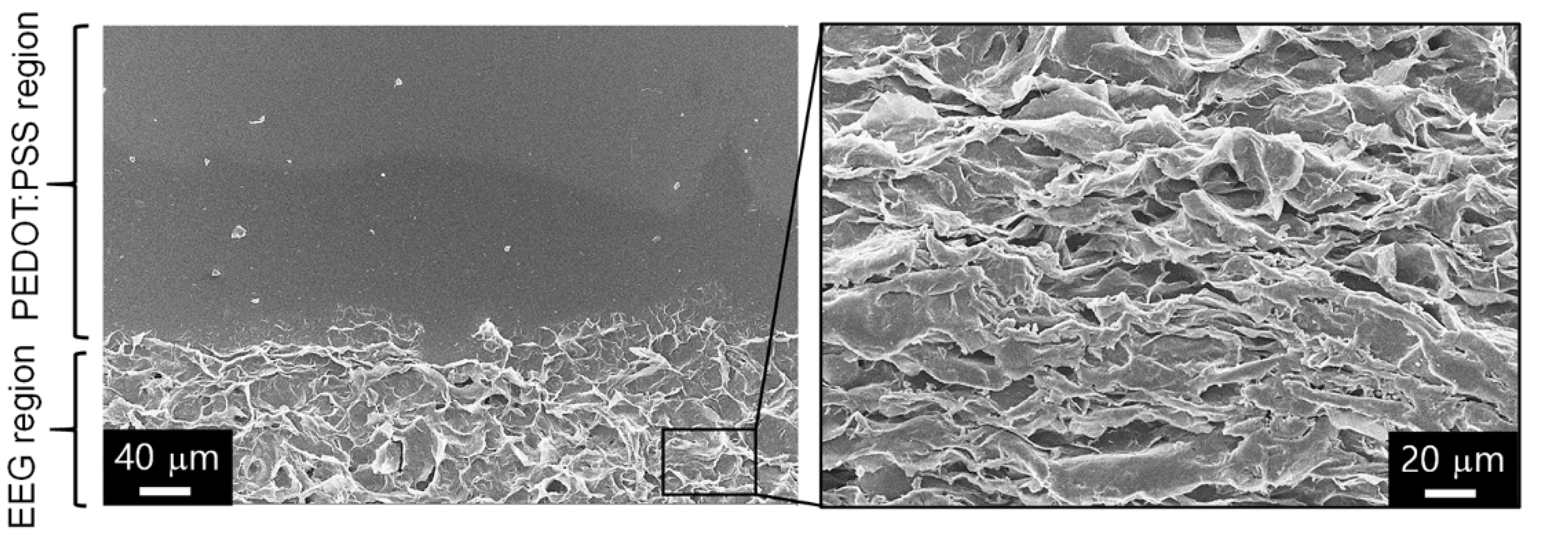 Polymers 14 05294 g004 Polymers 14 05294 g004