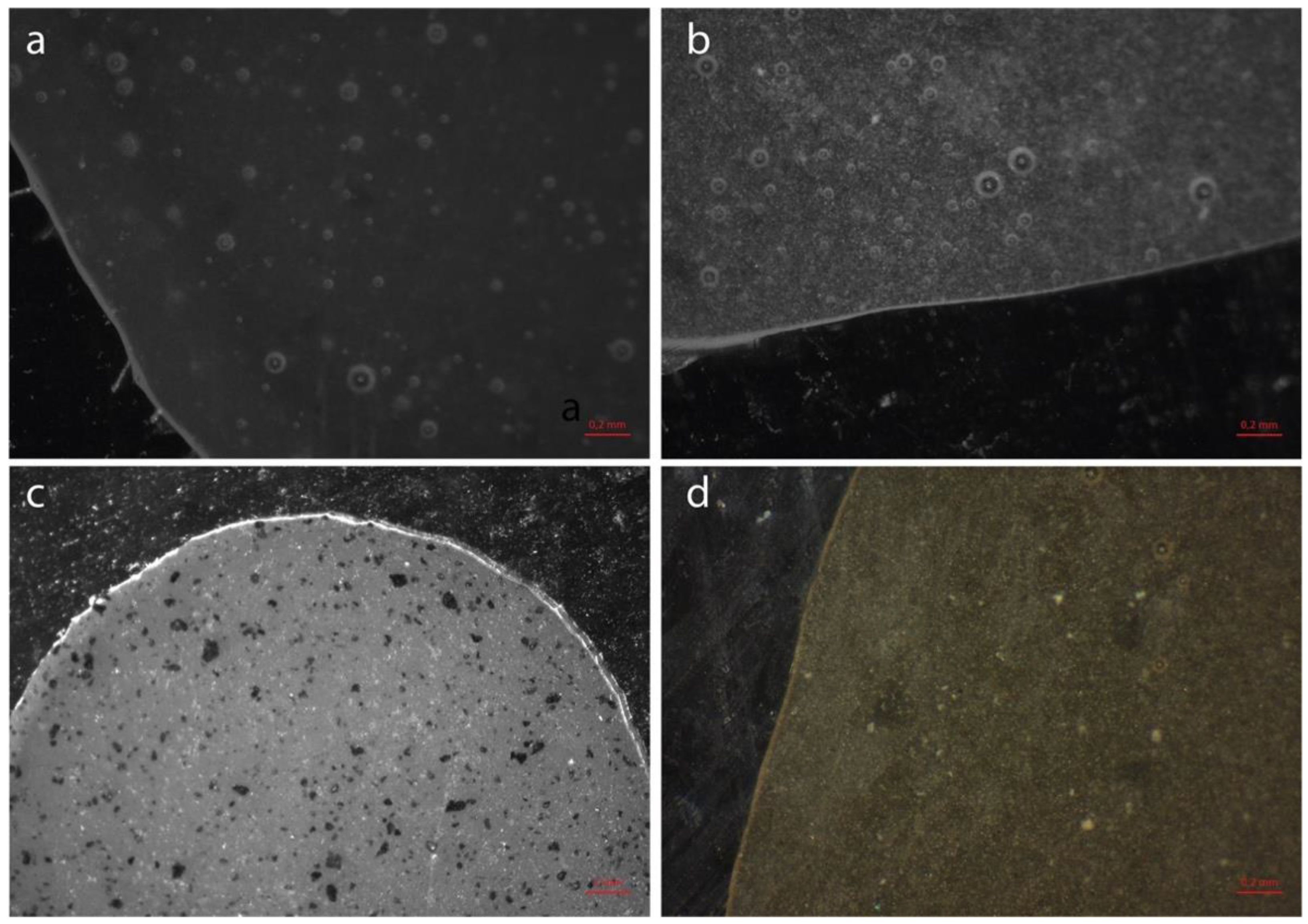 Polymers 14 05301 g005