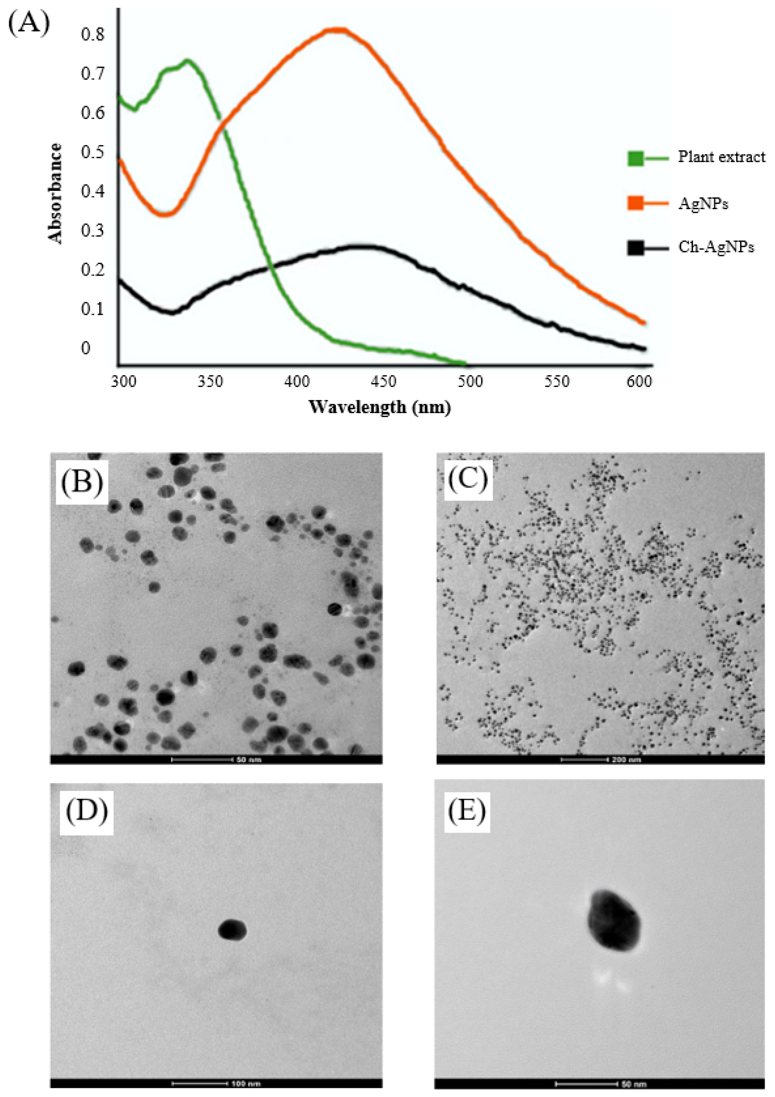 Polymers 14 05302 g002