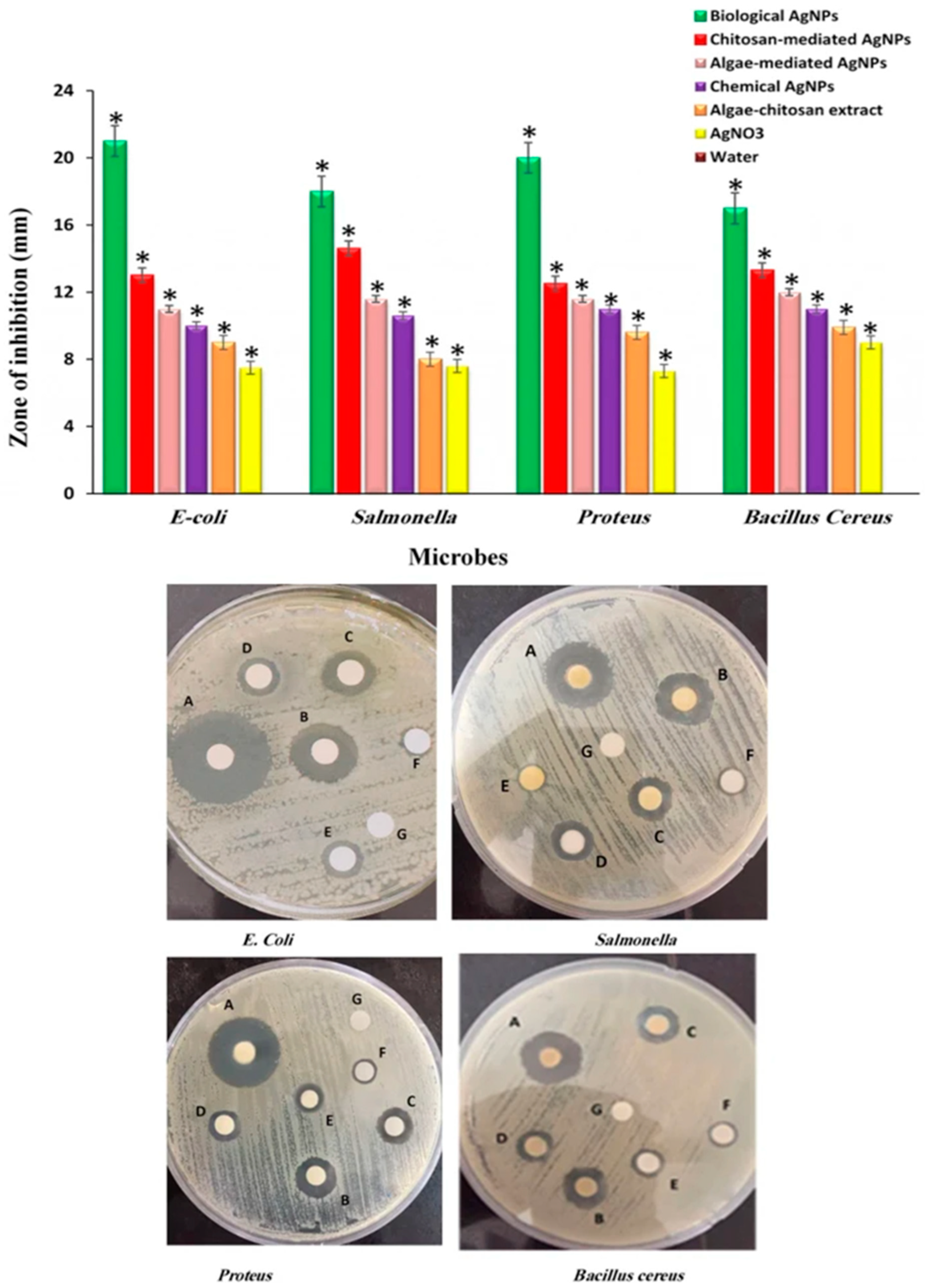Polymers 14 05302 g004