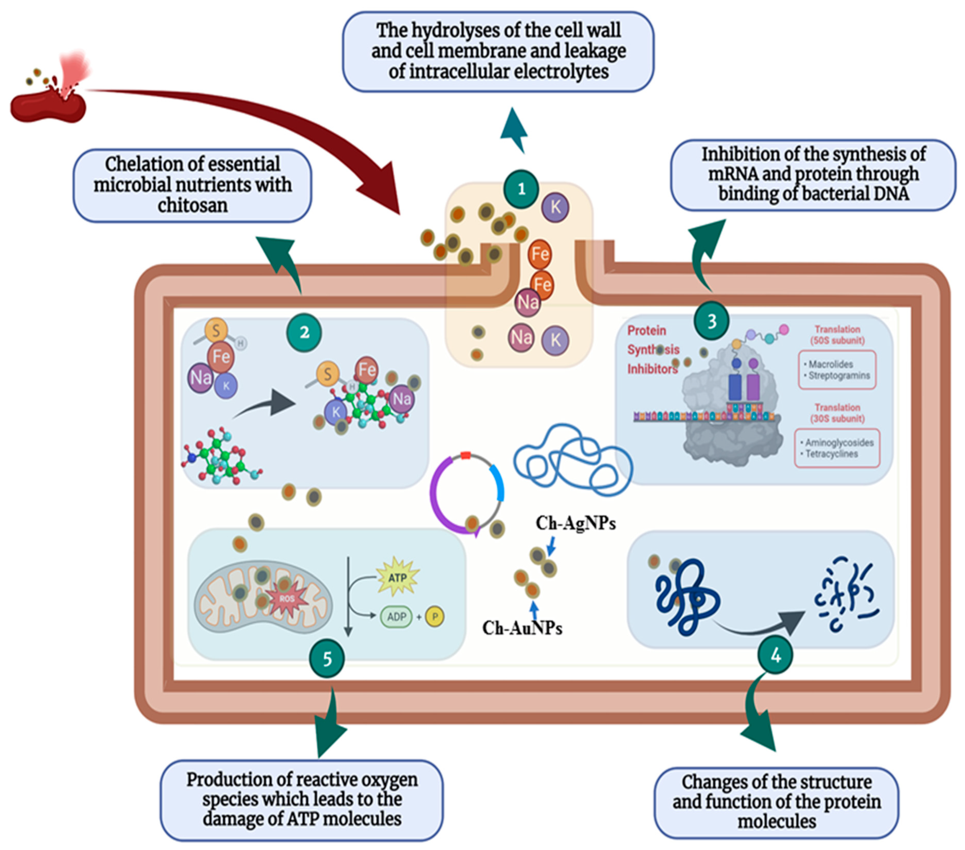 Polymers 14 05302 g005