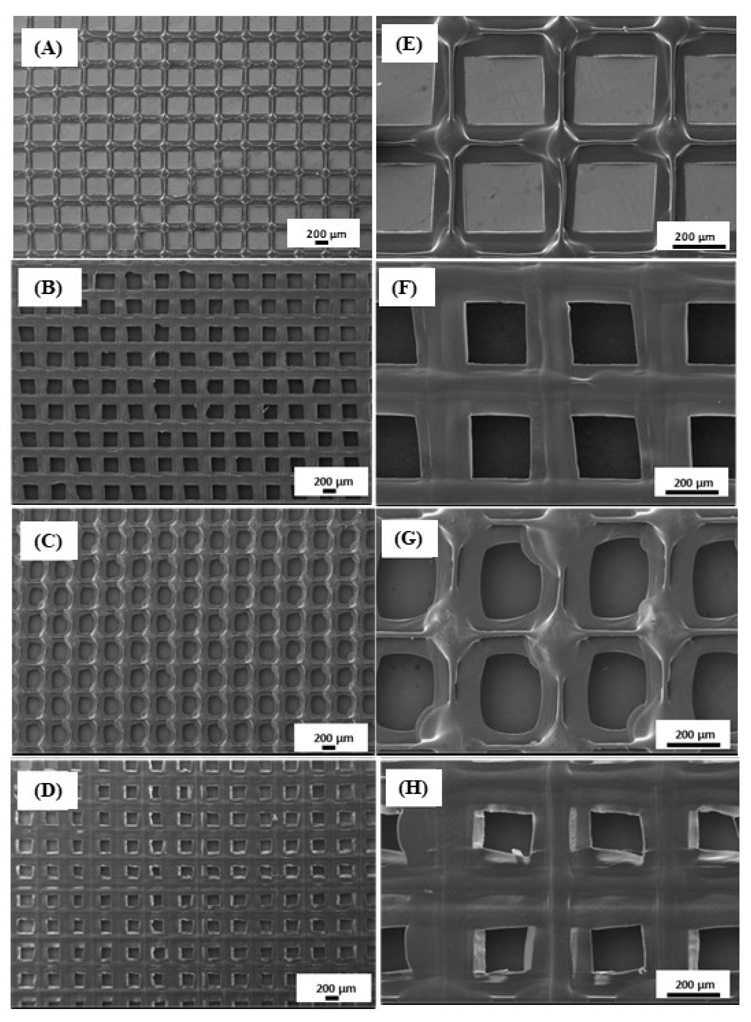 Polymers 14 05306 g002