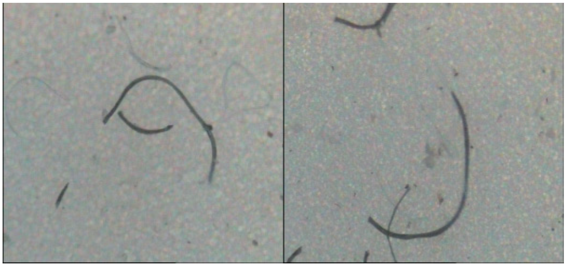 Polymers 14 05309 g009