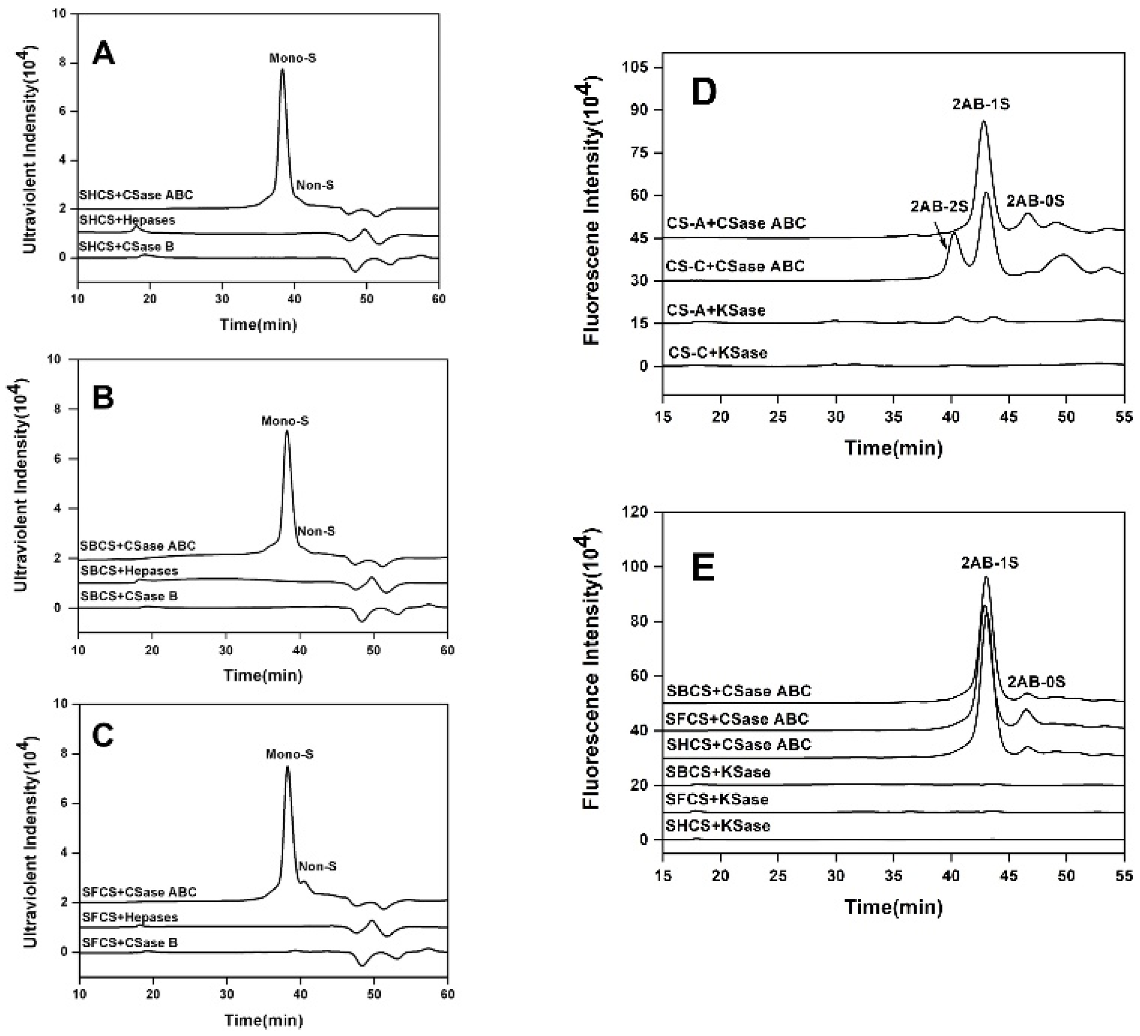 Polymers Free FullText Structural Characterization and