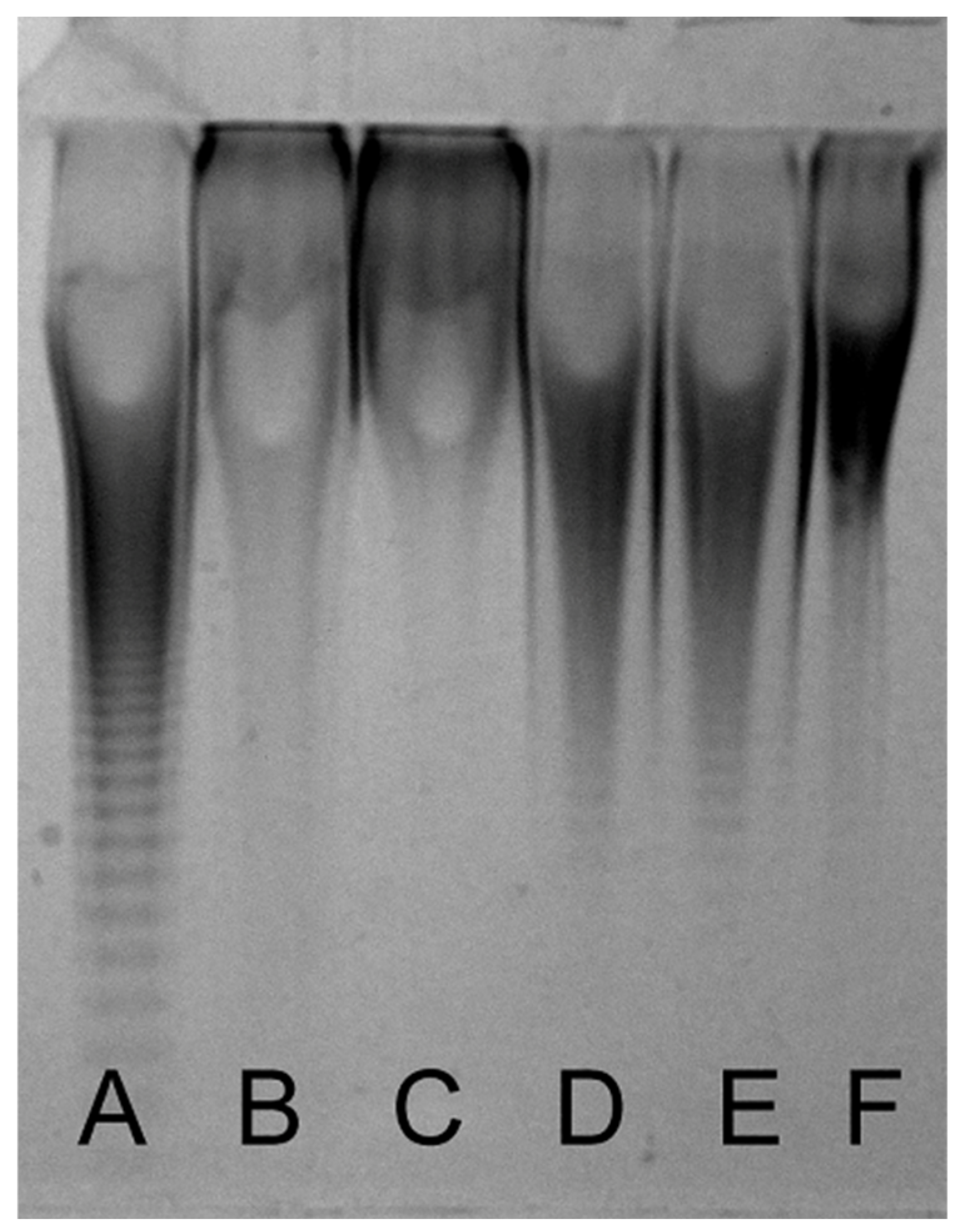 Polymers 14 05311 g002 Polymers 14 05311 g002