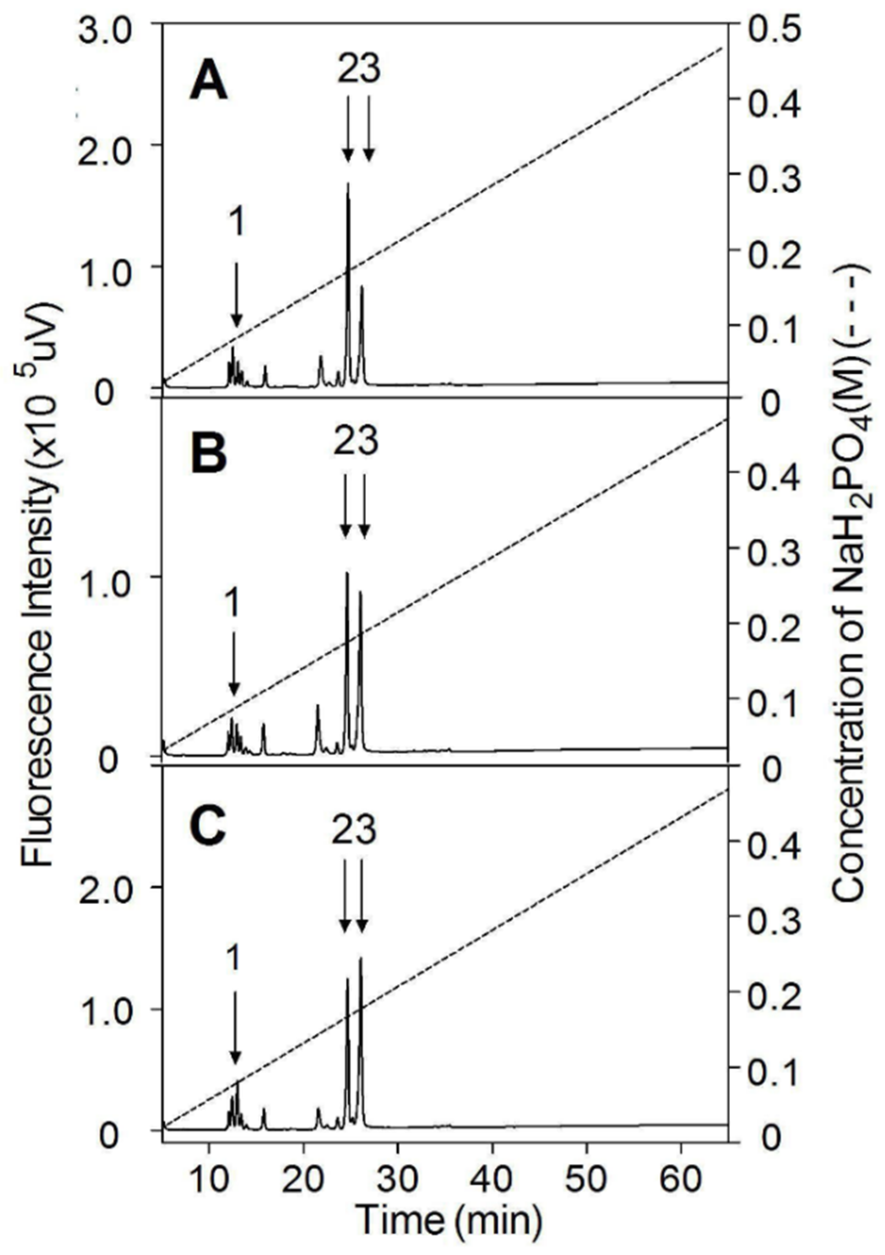Polymers 14 05311 g004 Polymers 14 05311 g004