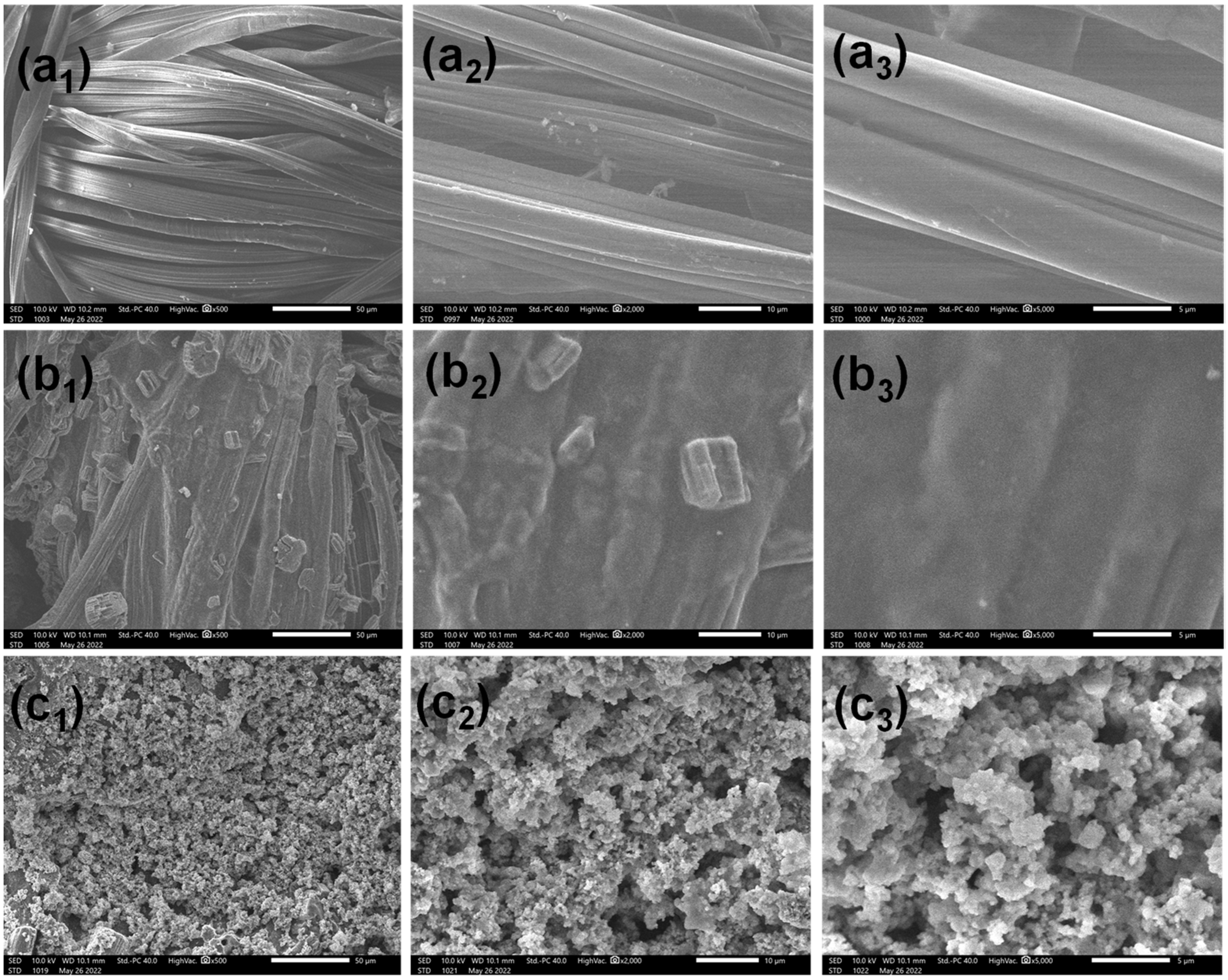 Polymers 14 05314 g002