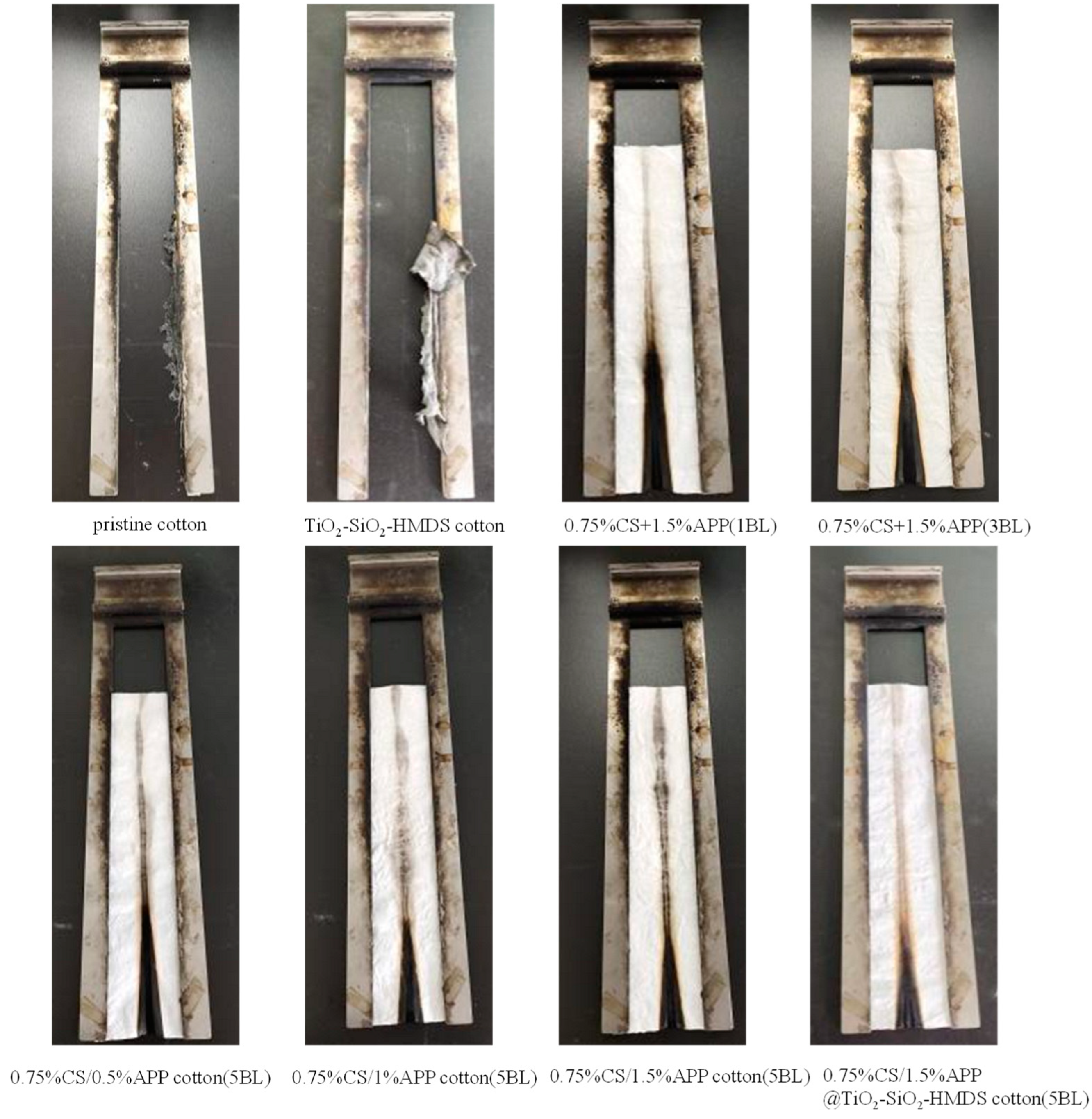 Polymers 14 05314 g006