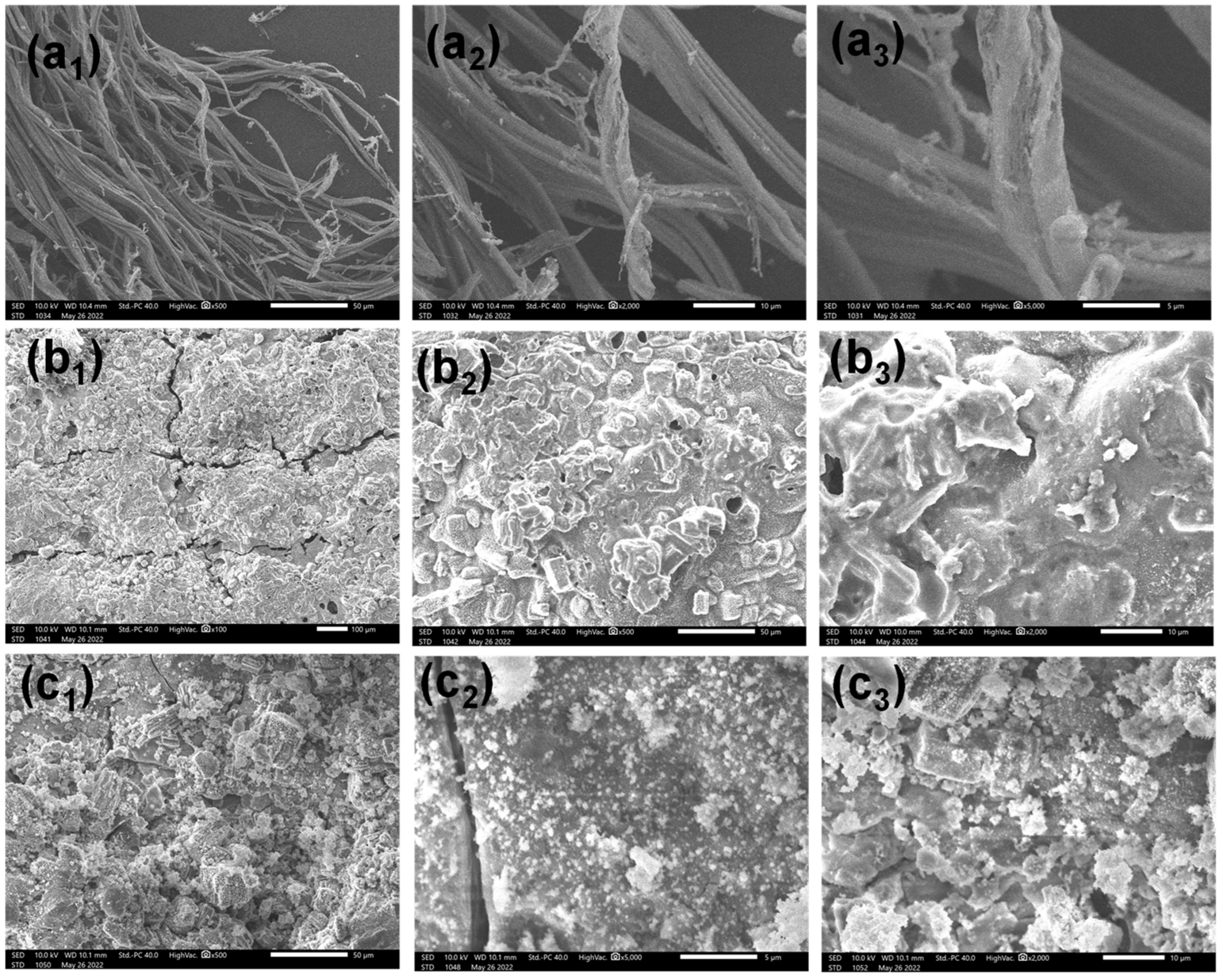 Polymers 14 05314 g008