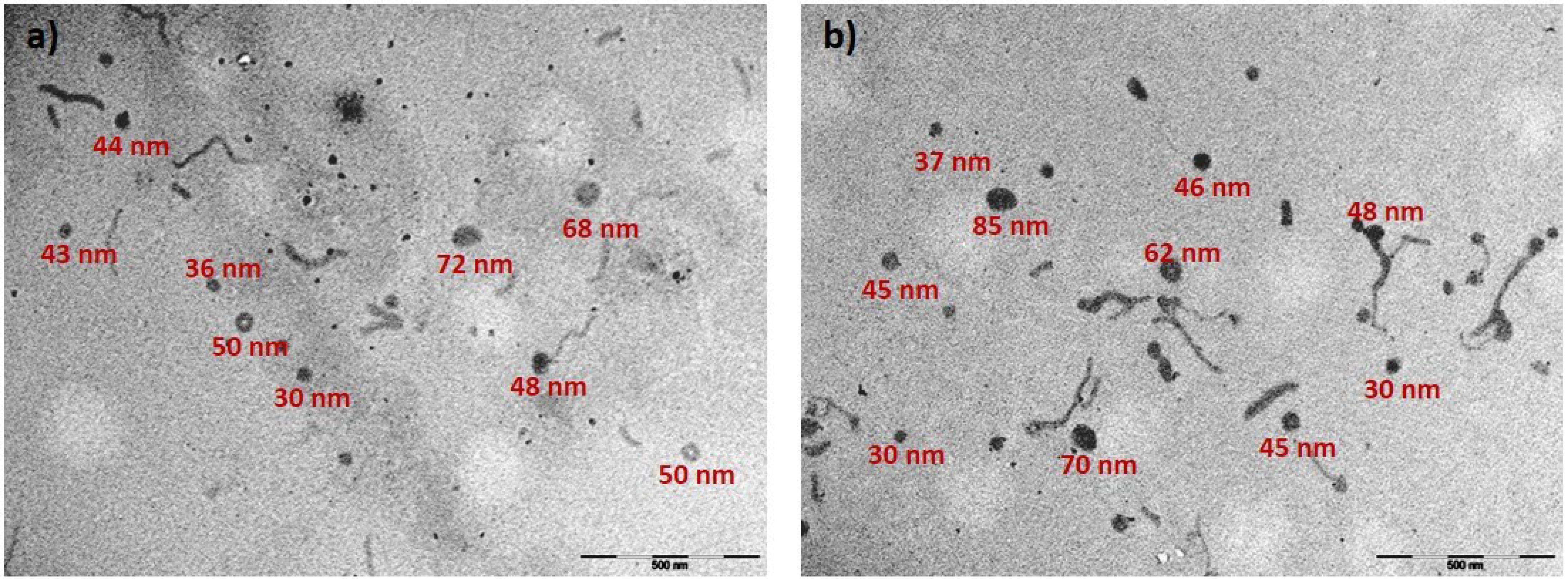 Polymers 14 05315 g006 Polymers 14 05315 g006