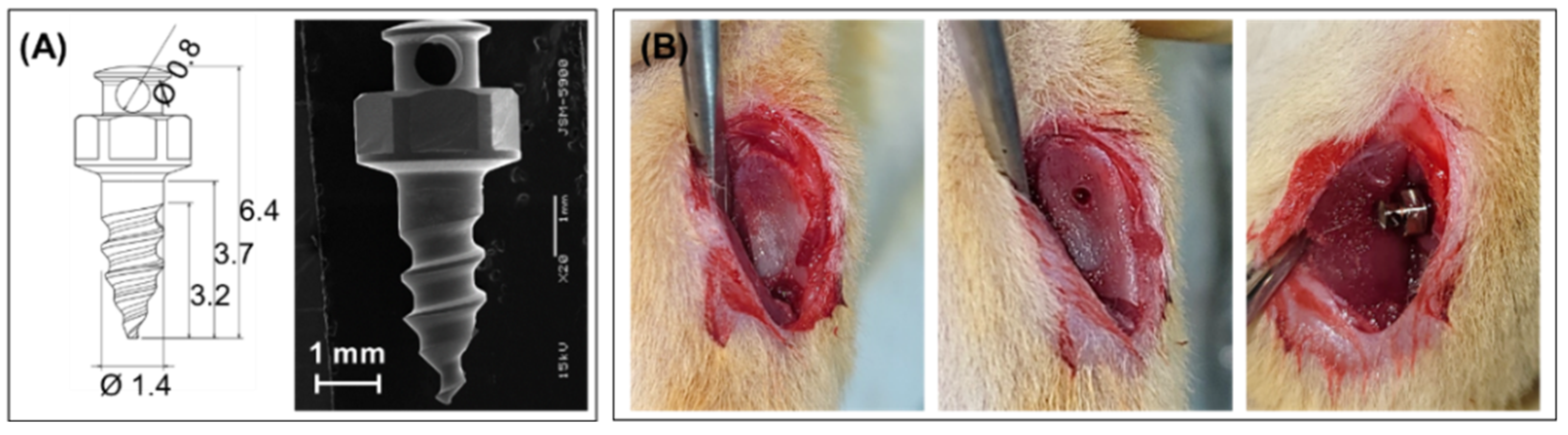 Polymers 14 05317 g002 Polymers 14 05317 g002