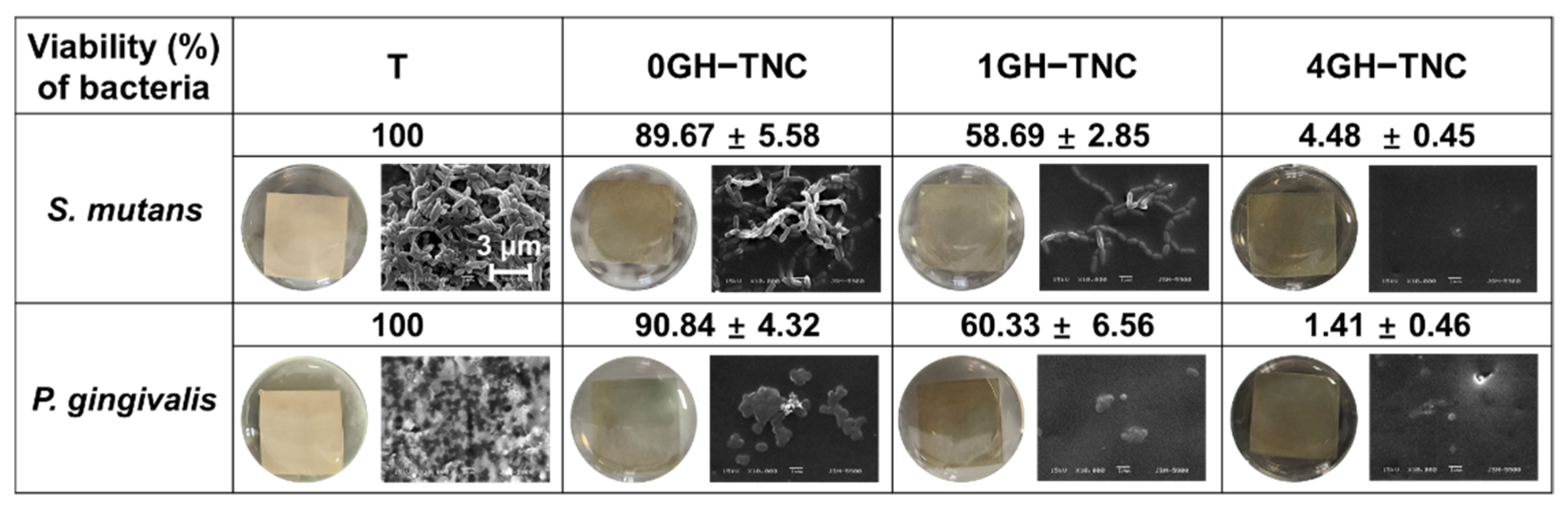 Polymers 14 05317 g006 Polymers 14 05317 g006