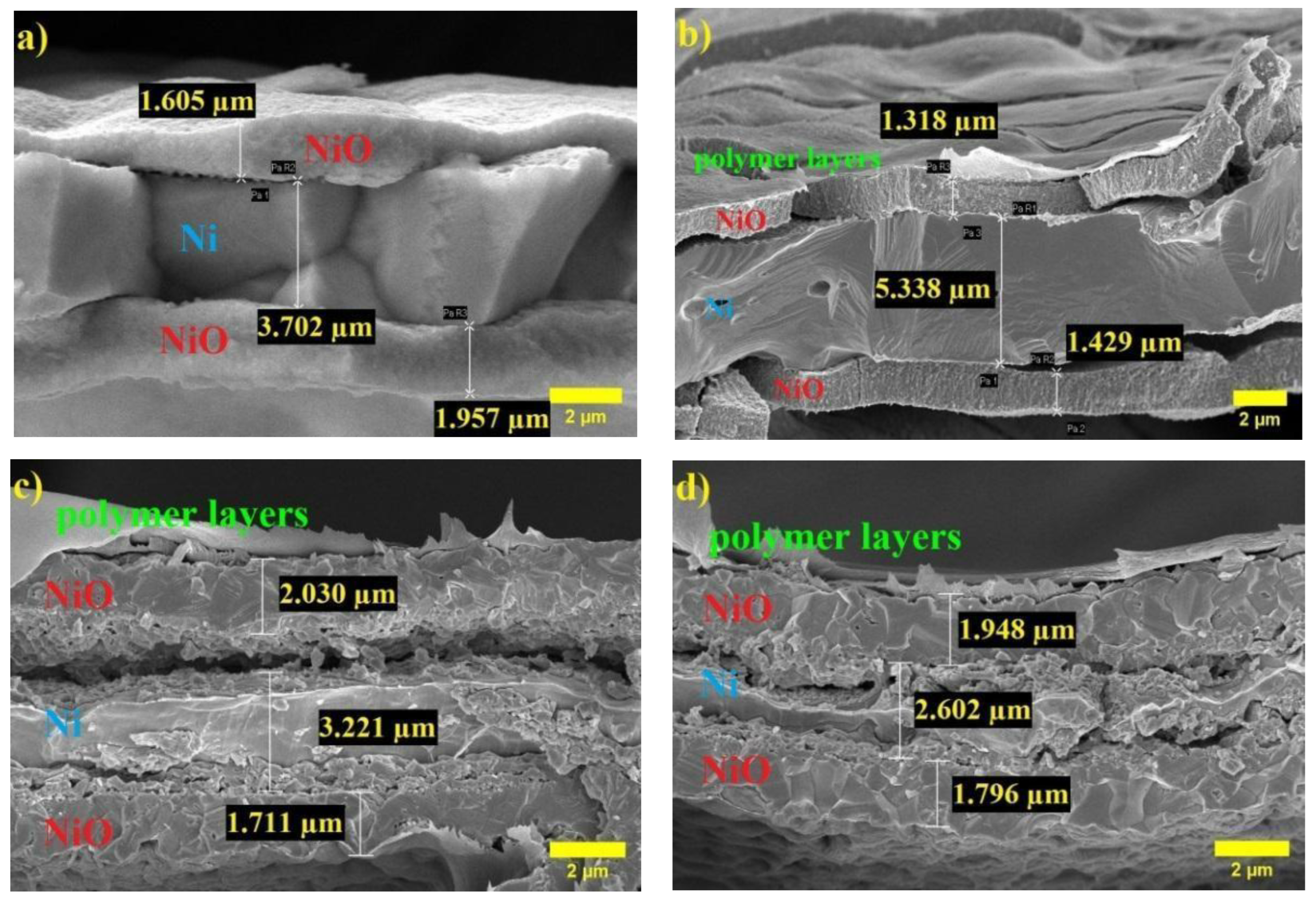 Polymers 14 05327 g003 Polymers 14 05327 g003