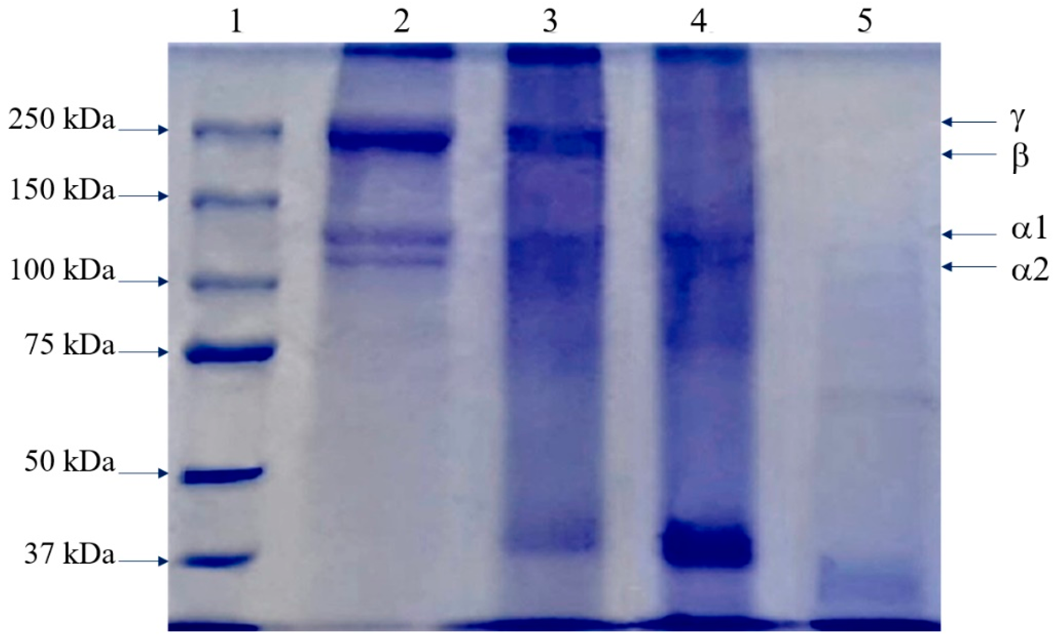 Polymers 14 05329 g006 Polymers 14 05329 g006