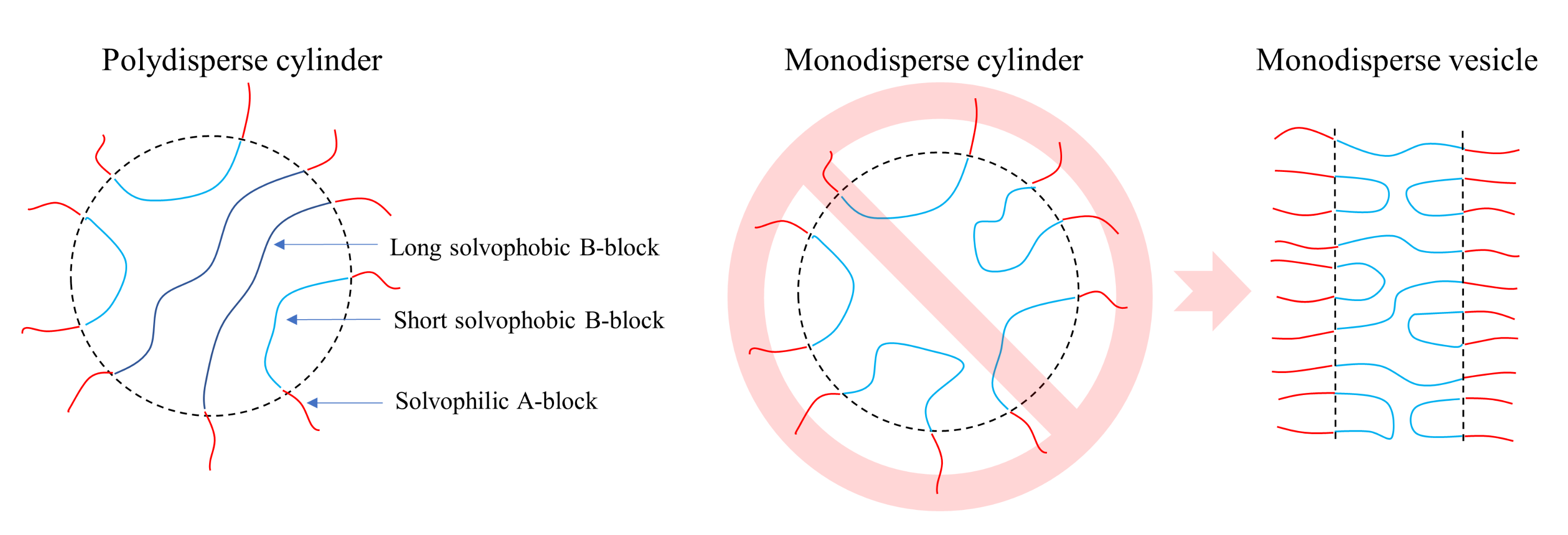 Polymers 14 05331 g004